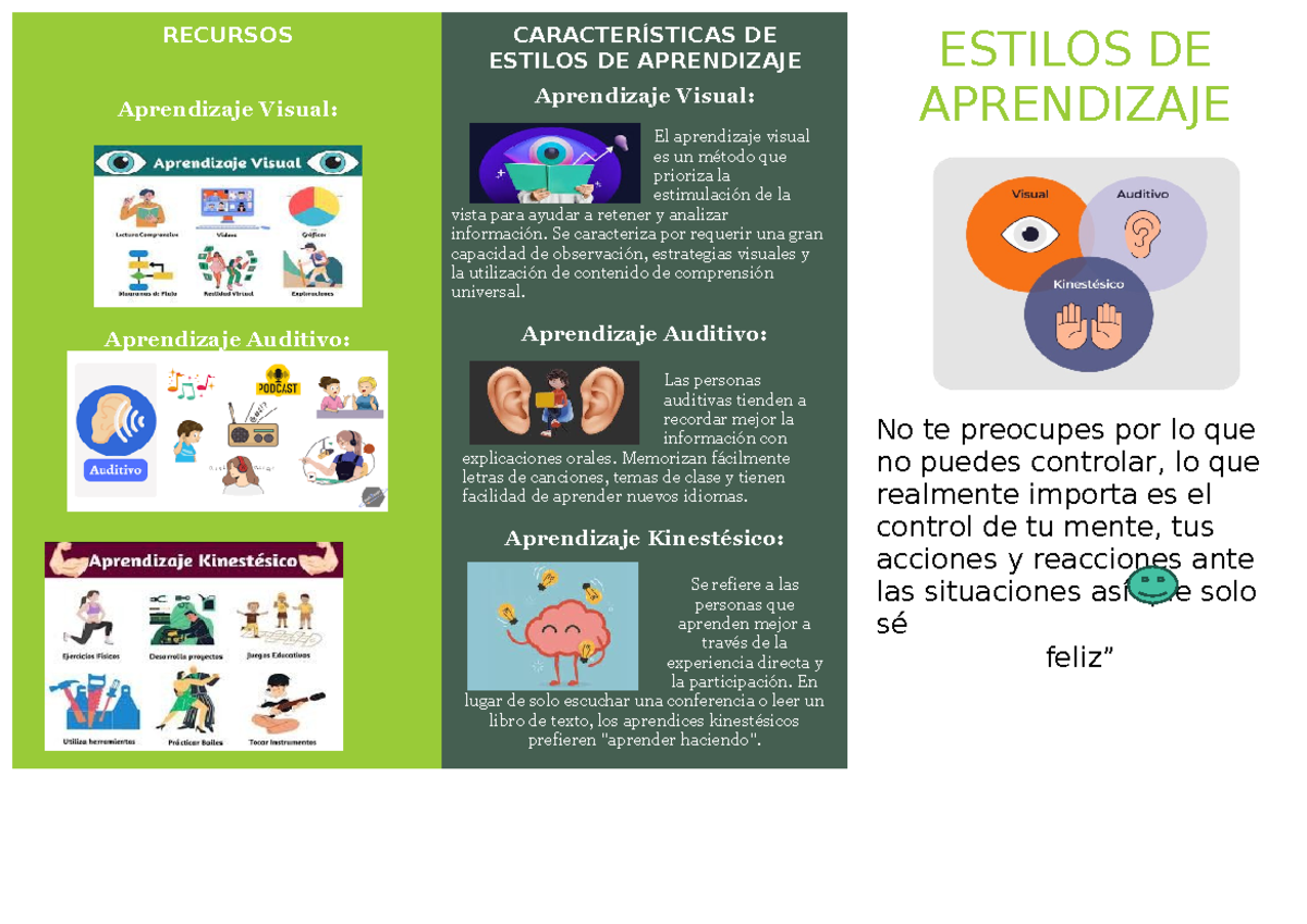Estilo De Aprendizaje Auditivo Neurociencia Y El Mito De Los Estilos