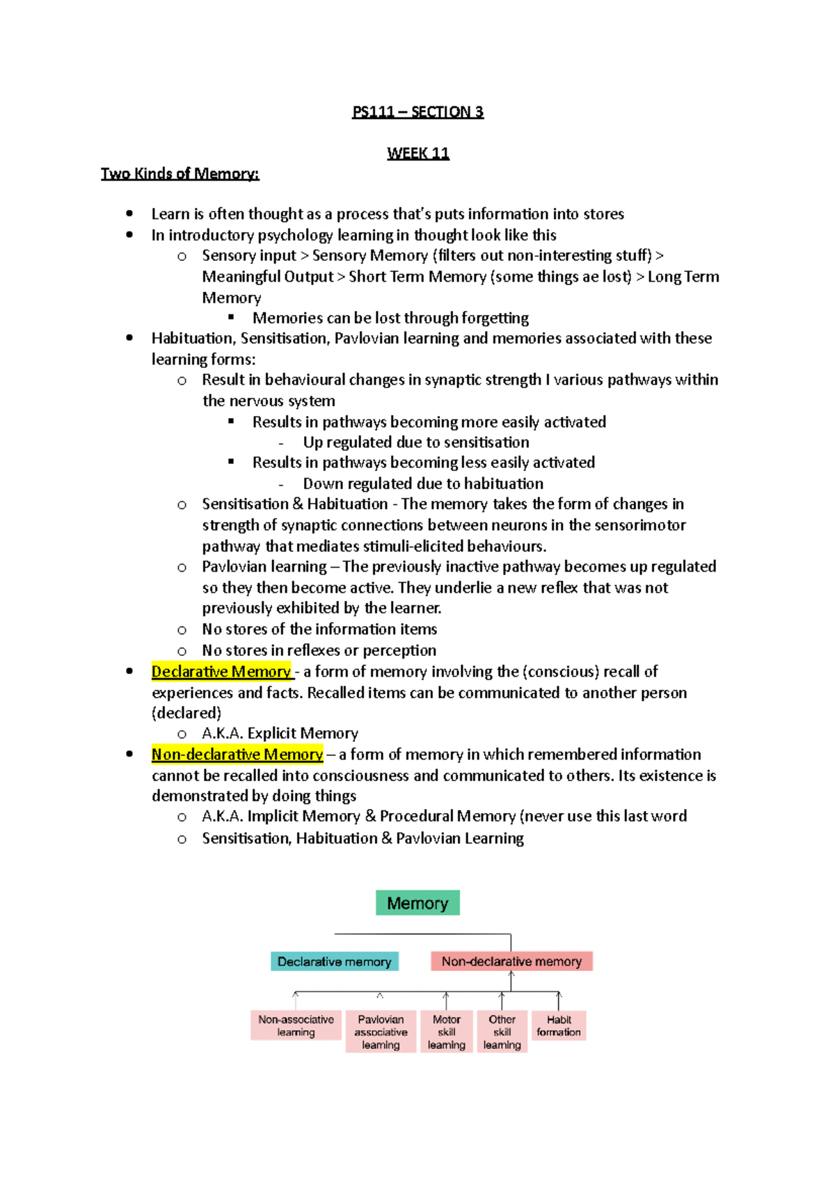 PS111 - Comprehensive Lecture Notes on Memory and Amnesia (W11/W12 ...