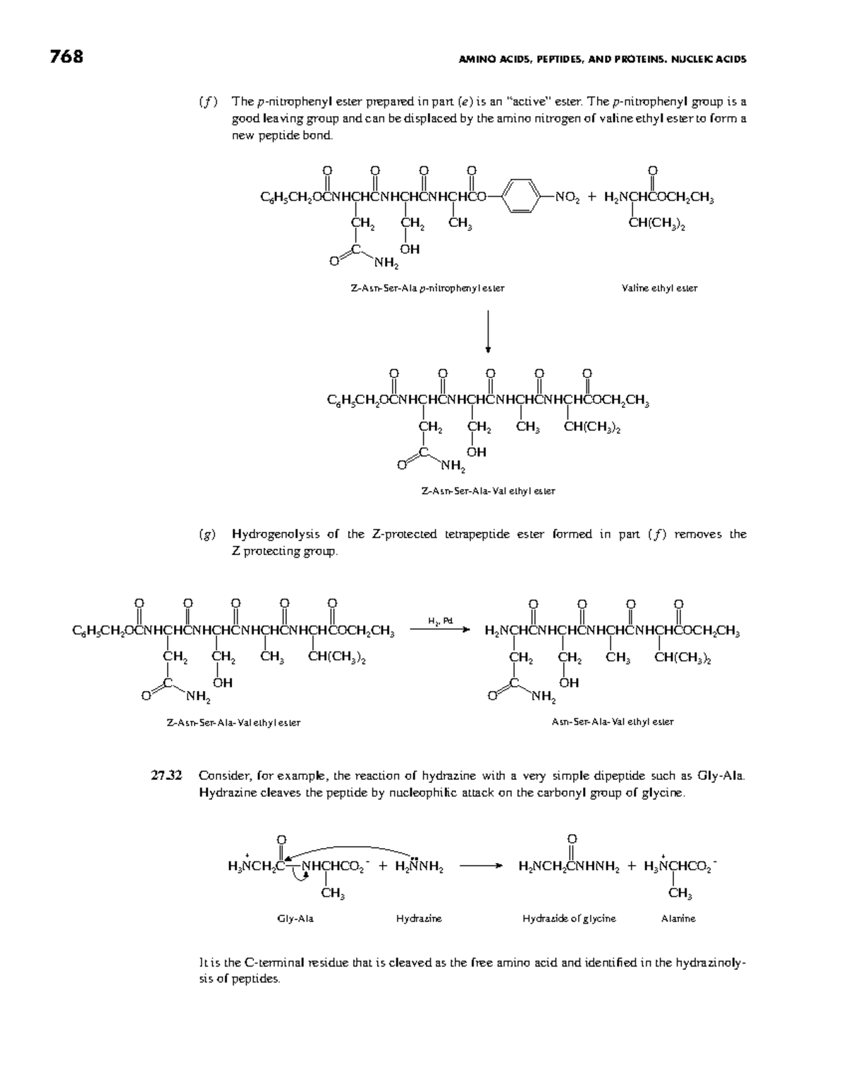Organic Chemistry 4th Ed: Amino Acids, Peptides & Proteins (768) - Studocu