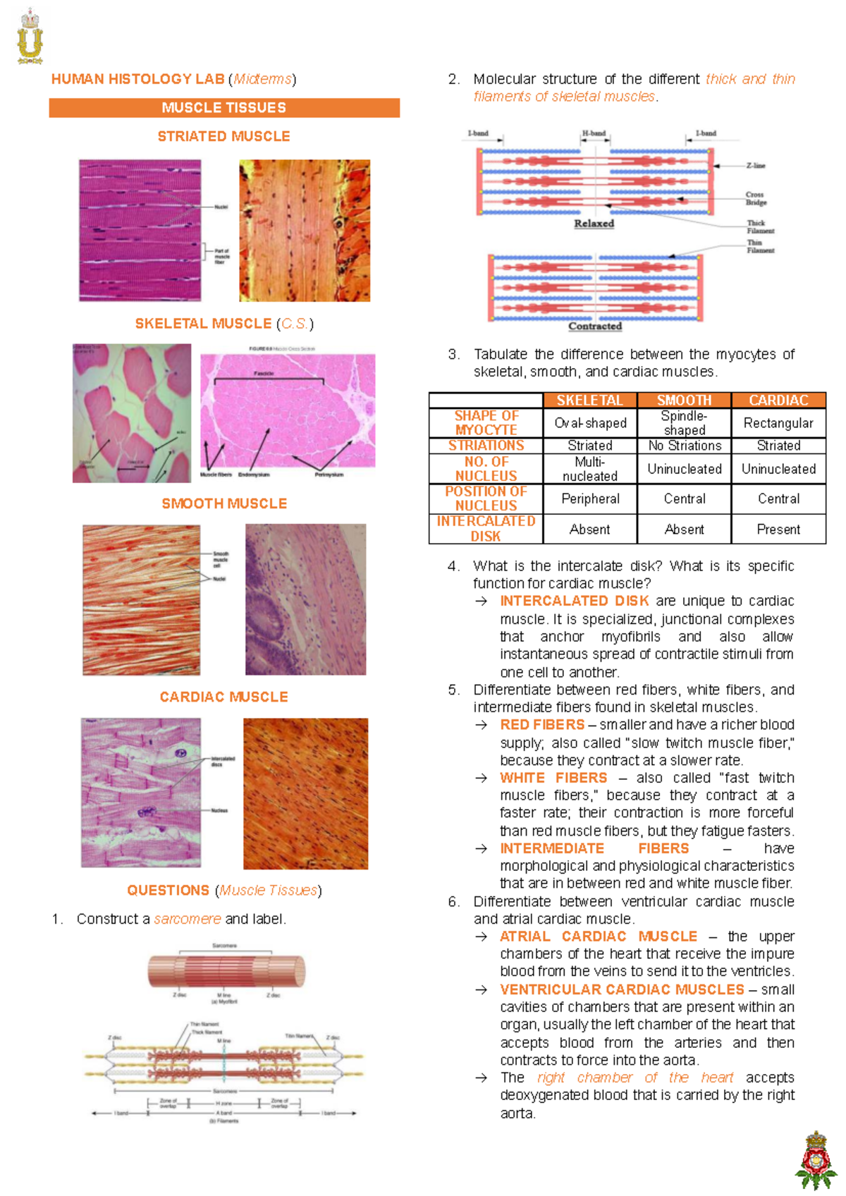 Midterm Exam Notes: Human Histology Lab (HIST 101) - Muscle Tissues ...
