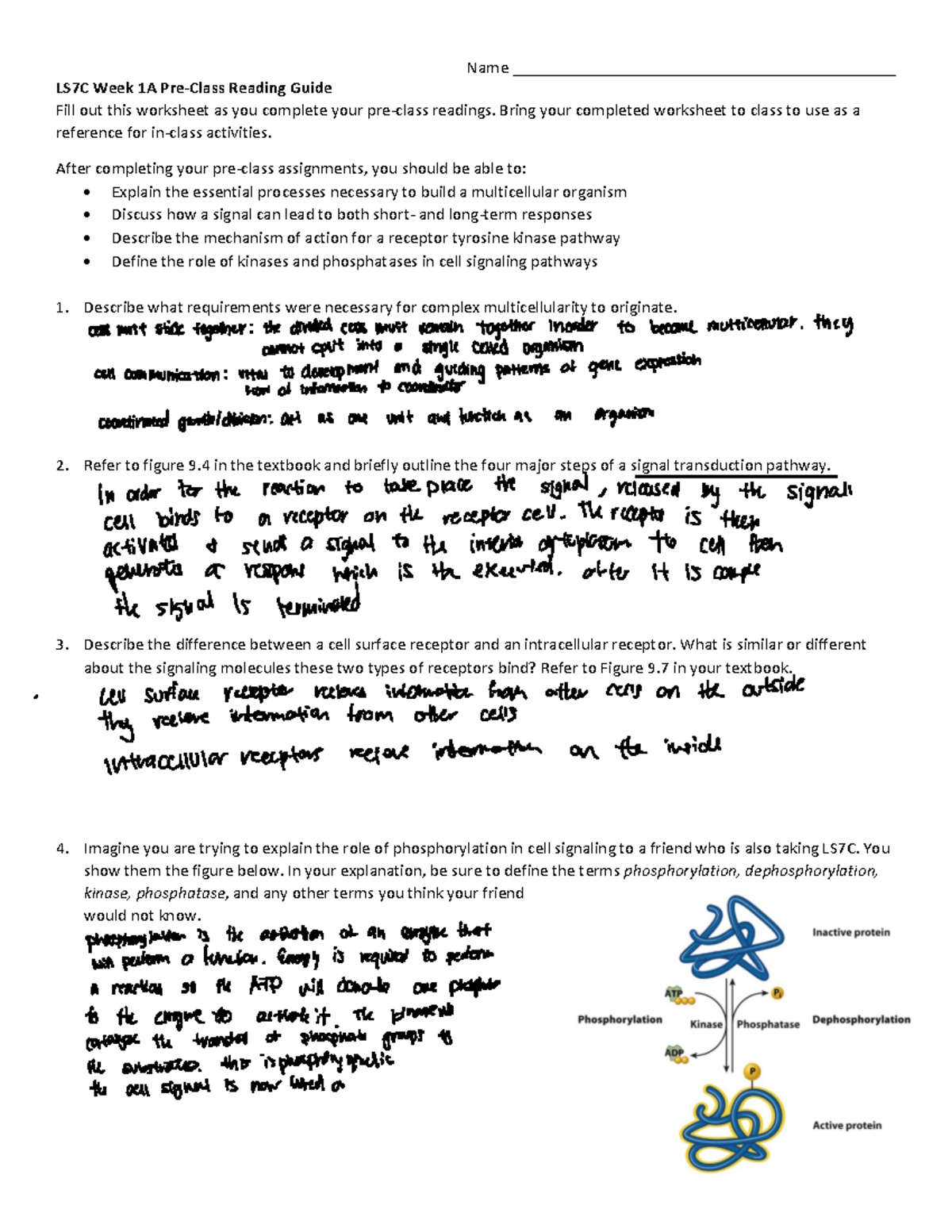 LS7C Week 1A Pre-Class Reading Guide: Multicellularity & Cell Signaling ...