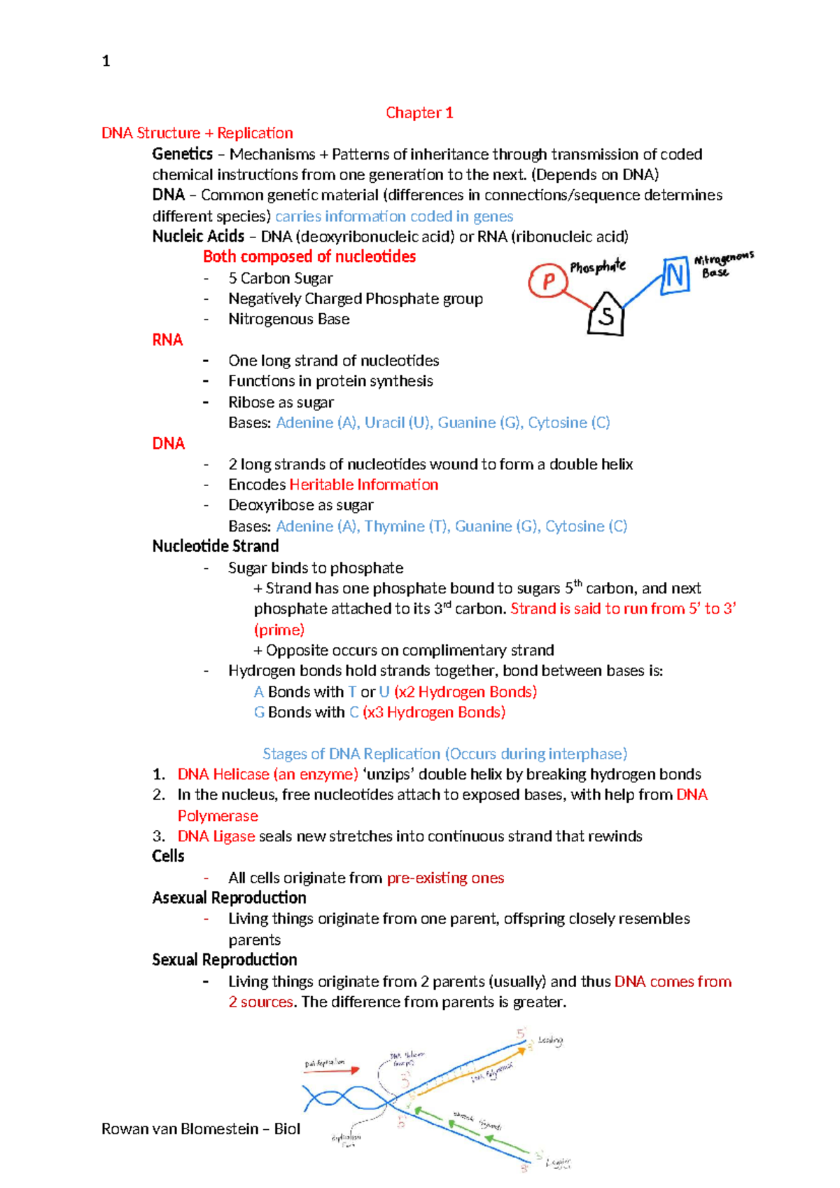 Biology ATAR Notes: Chapter 1 - DNA Structure & Replication - Studocu