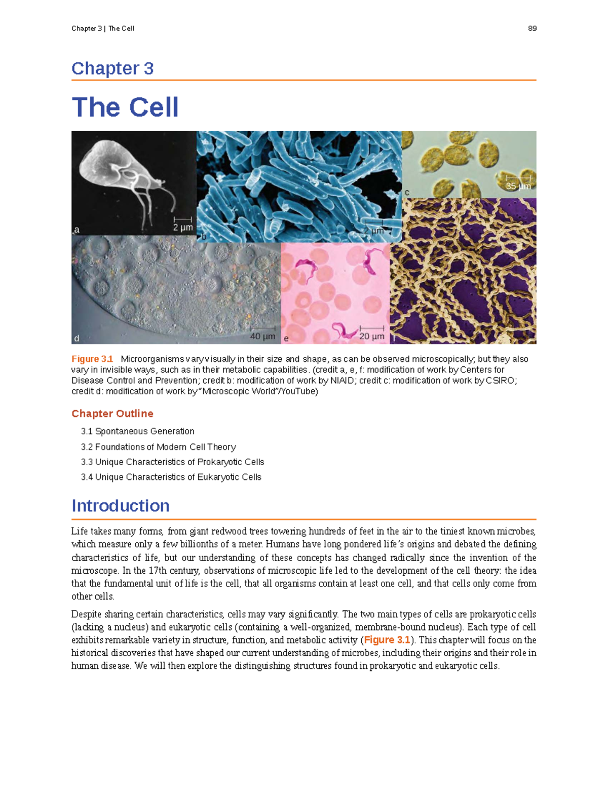 Chapter 3: The Cell - Key Concepts and Discoveries in Microbiology ...