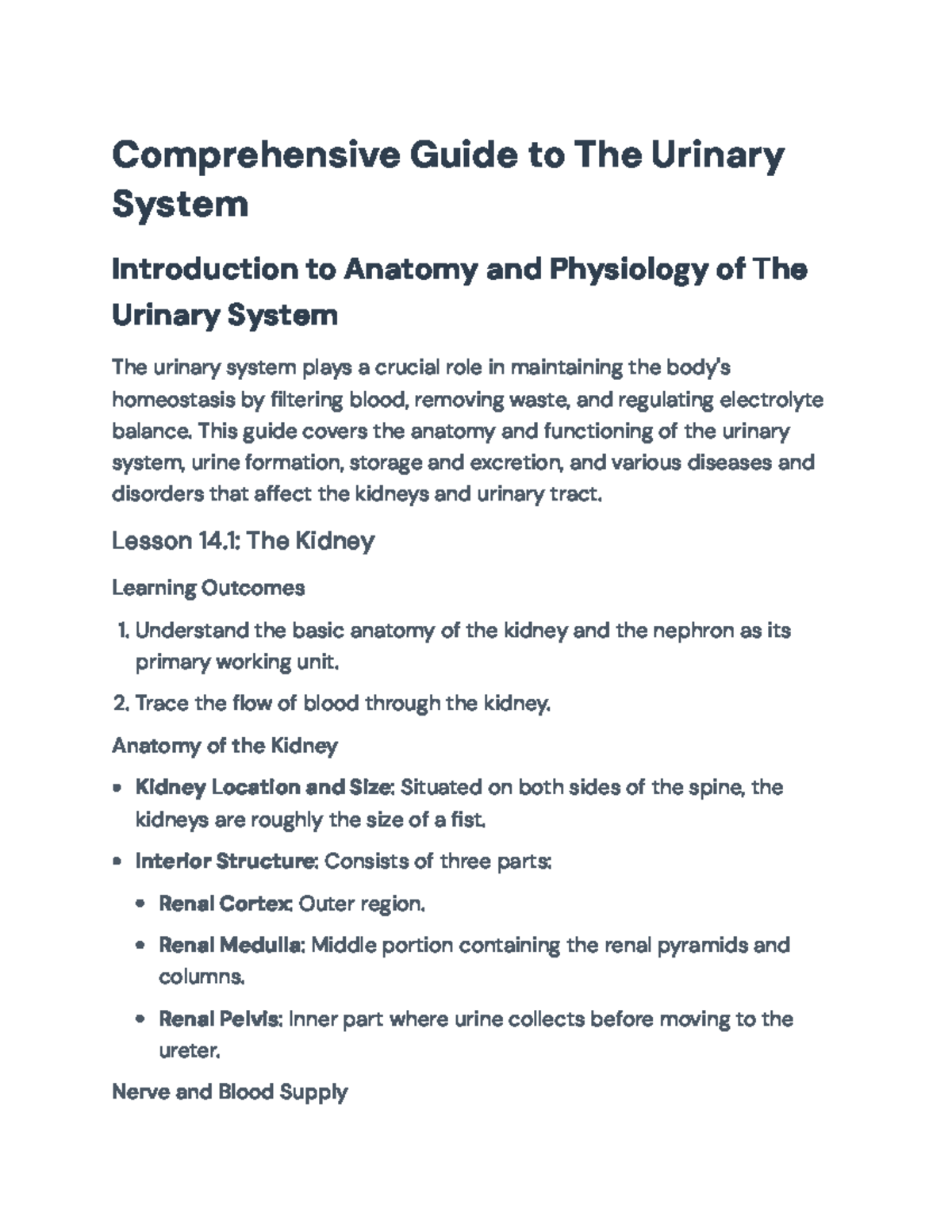 Comprehensive Guide to the Urinary System - Biology 101 Notes - Studocu