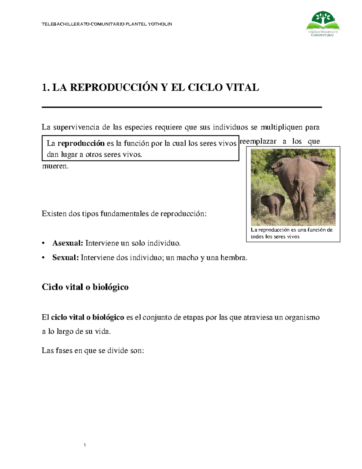 TELEBACHILLERATO COMUNITARIO PLANTEL YOTHOLIN: La Reproducción y Ciclo ...