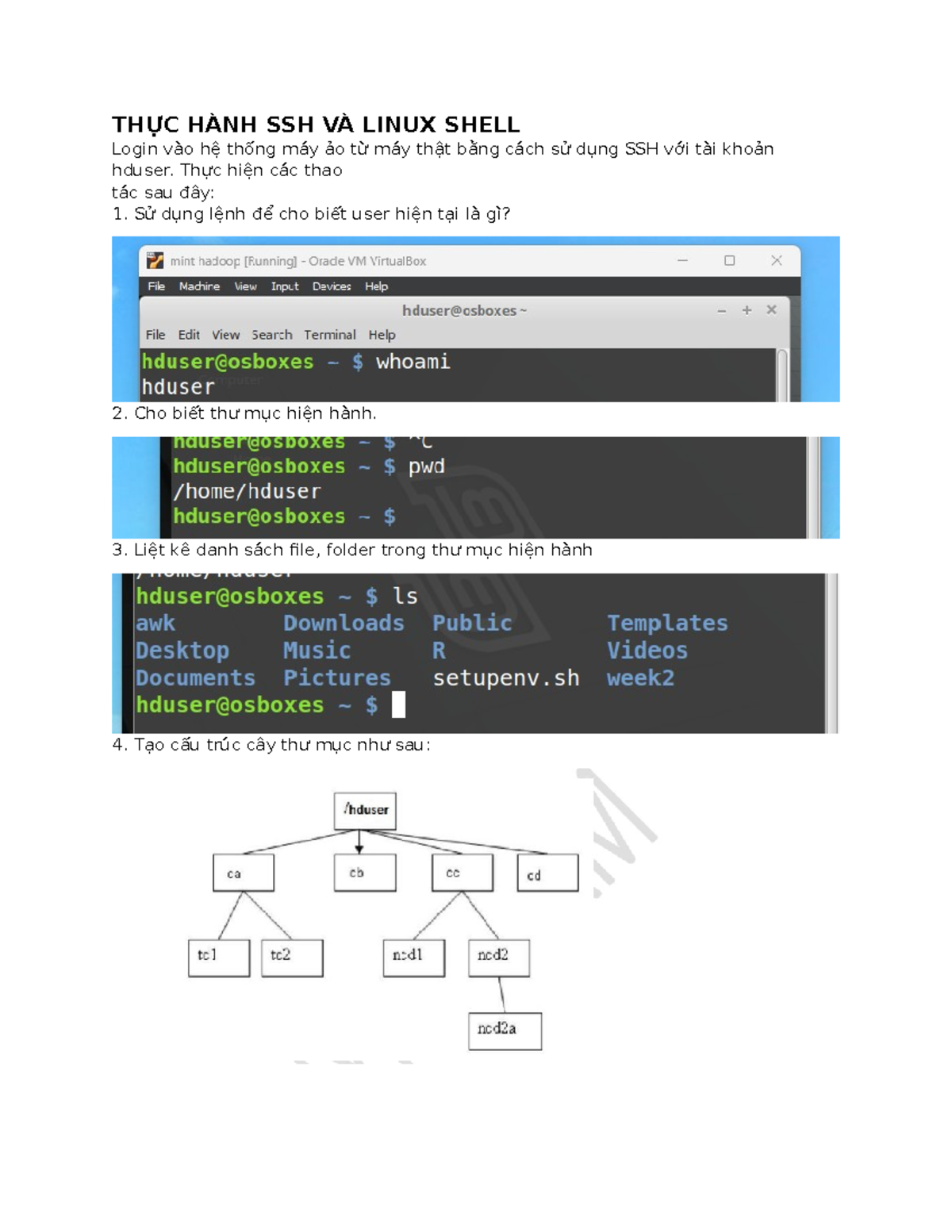 Practical Lab on SSH and Linux Shell for Course IS-FIT 101 - Studocu