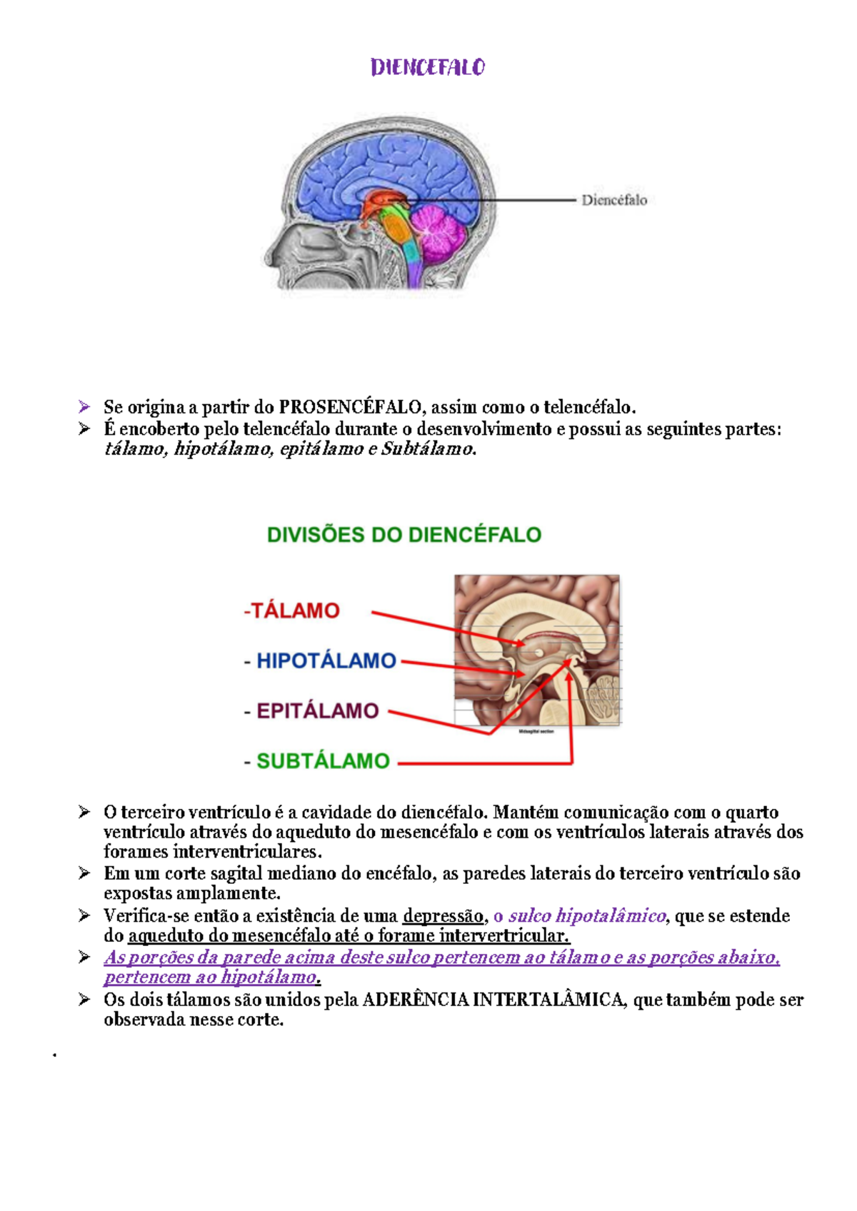 Diencefalo - DIENCEFALO Se origina a partir do PROSENCÉFALO, assim como ...