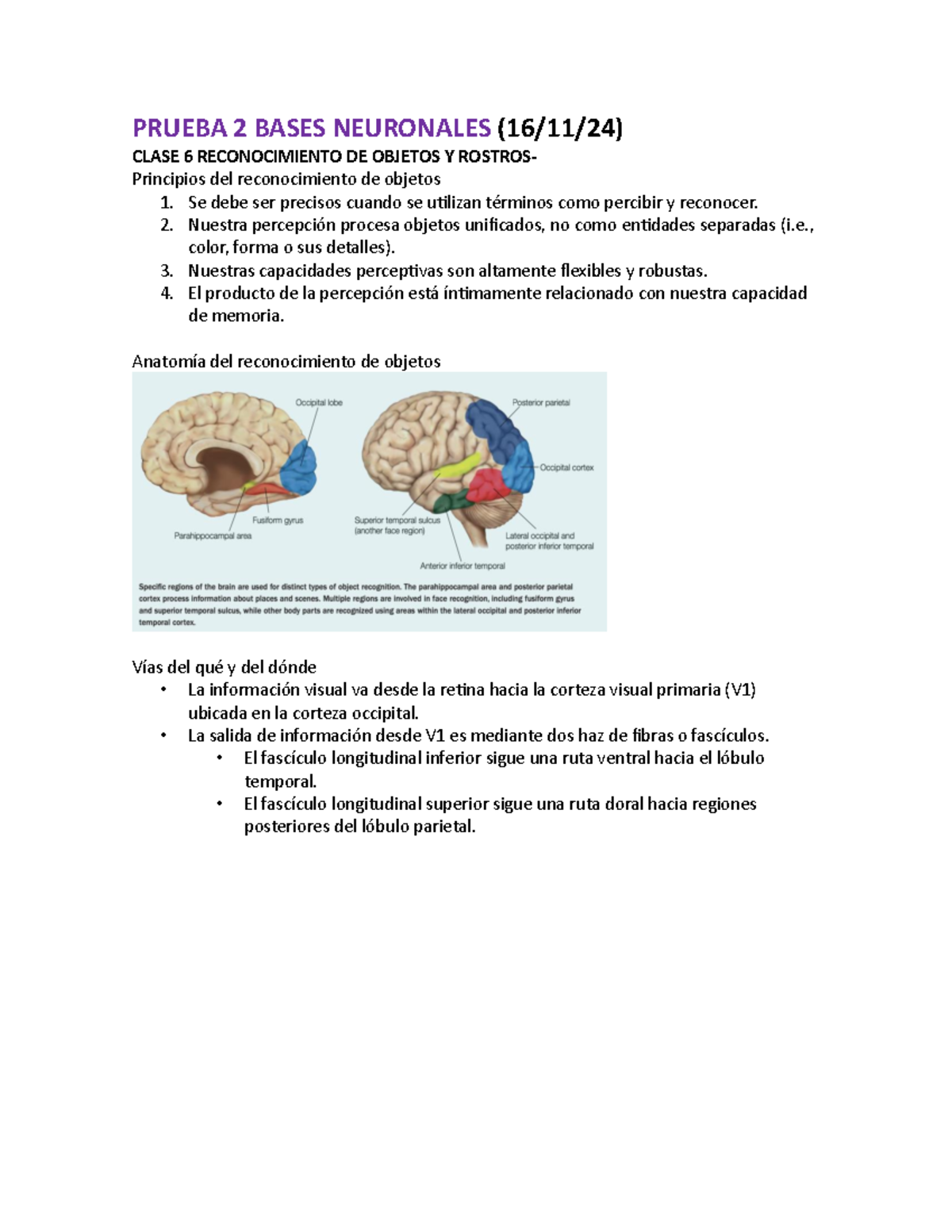 Prueba Bases Neuronales Prueba Bases Neuronales Clase