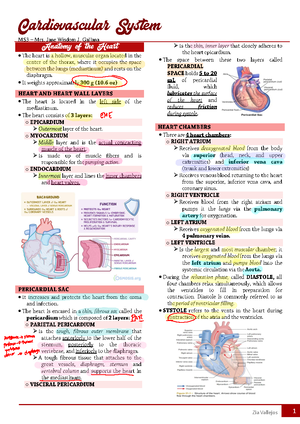 Cardiovascular System Complete 47 77 1 - MS3 – Mrs. Jane Wisdom J ...