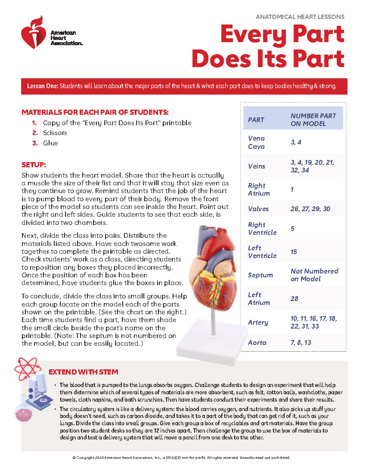 ANATOMICAL HEART LESSONS: Every Part Does Its Part (01) - Studocu