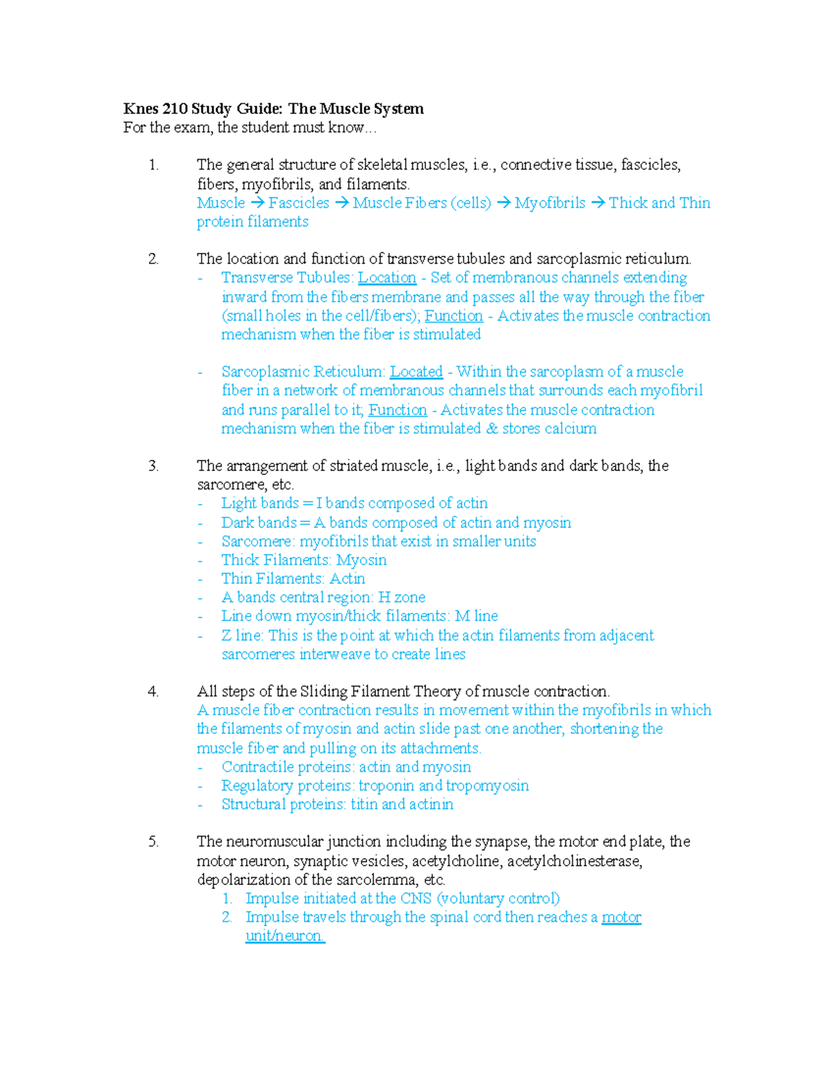 KNES 210-Exam 2 - Comprehensive Muscle System Study Guide PDF - Studocu