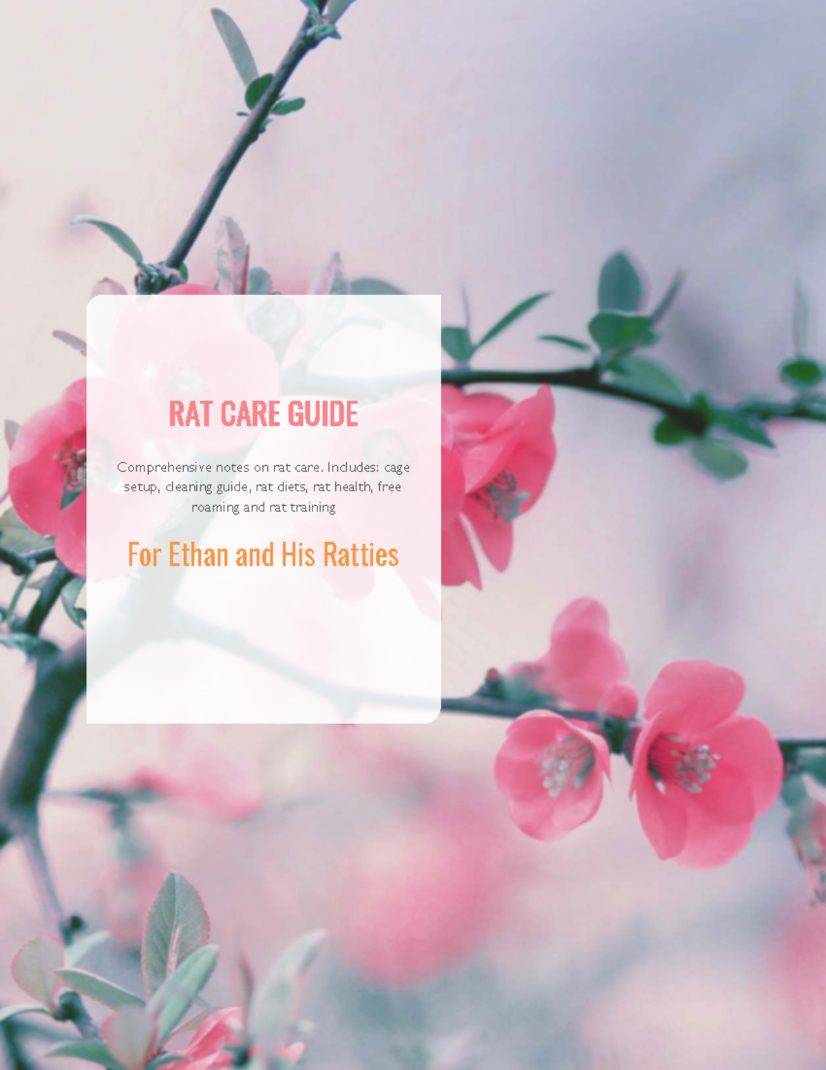 Rat care guide: comprehensive notes on rat health and training - Studocu
