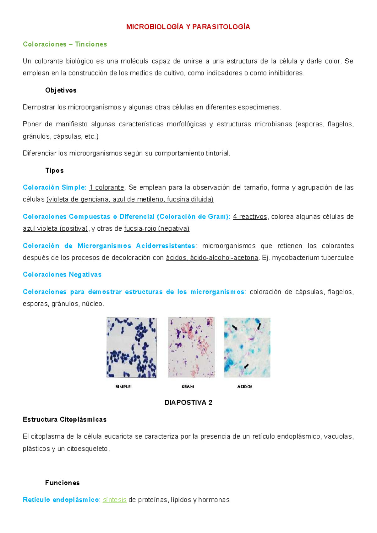 Microbiología y Parasitología: Coloraciones y Tinciones Esenciales ...