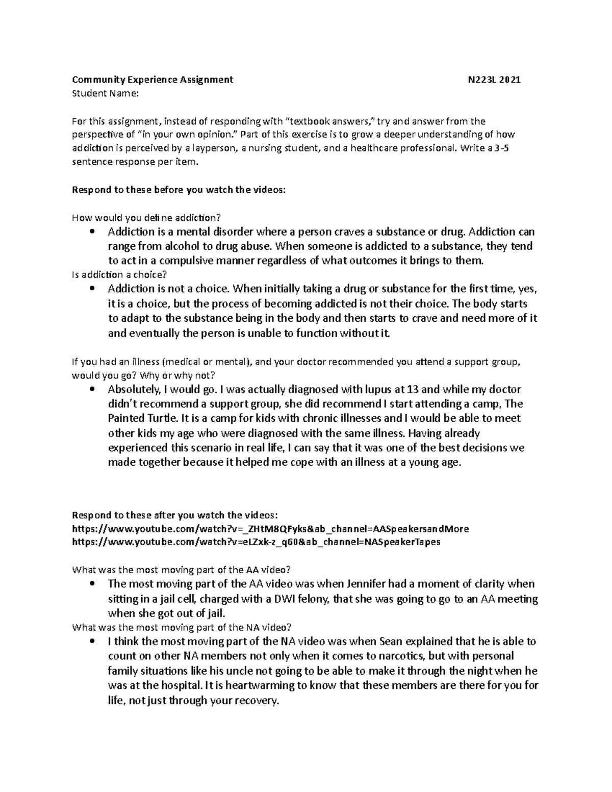 community experience paper - Community Experience Assignment N223L 2021 ...