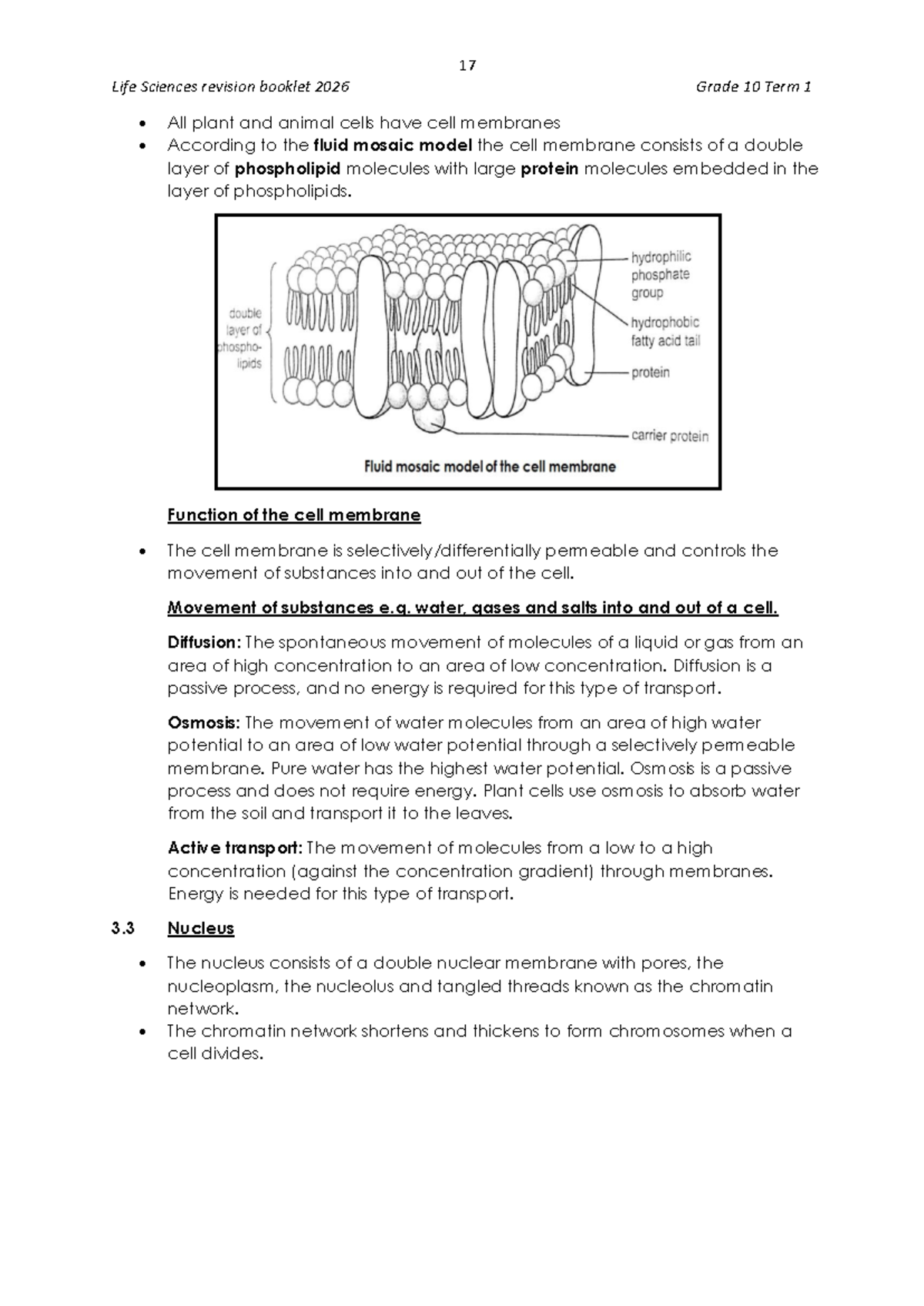 Life Sciences Revision Booklet 2026: Grade 10 Cell, Mitosis & Plant ...