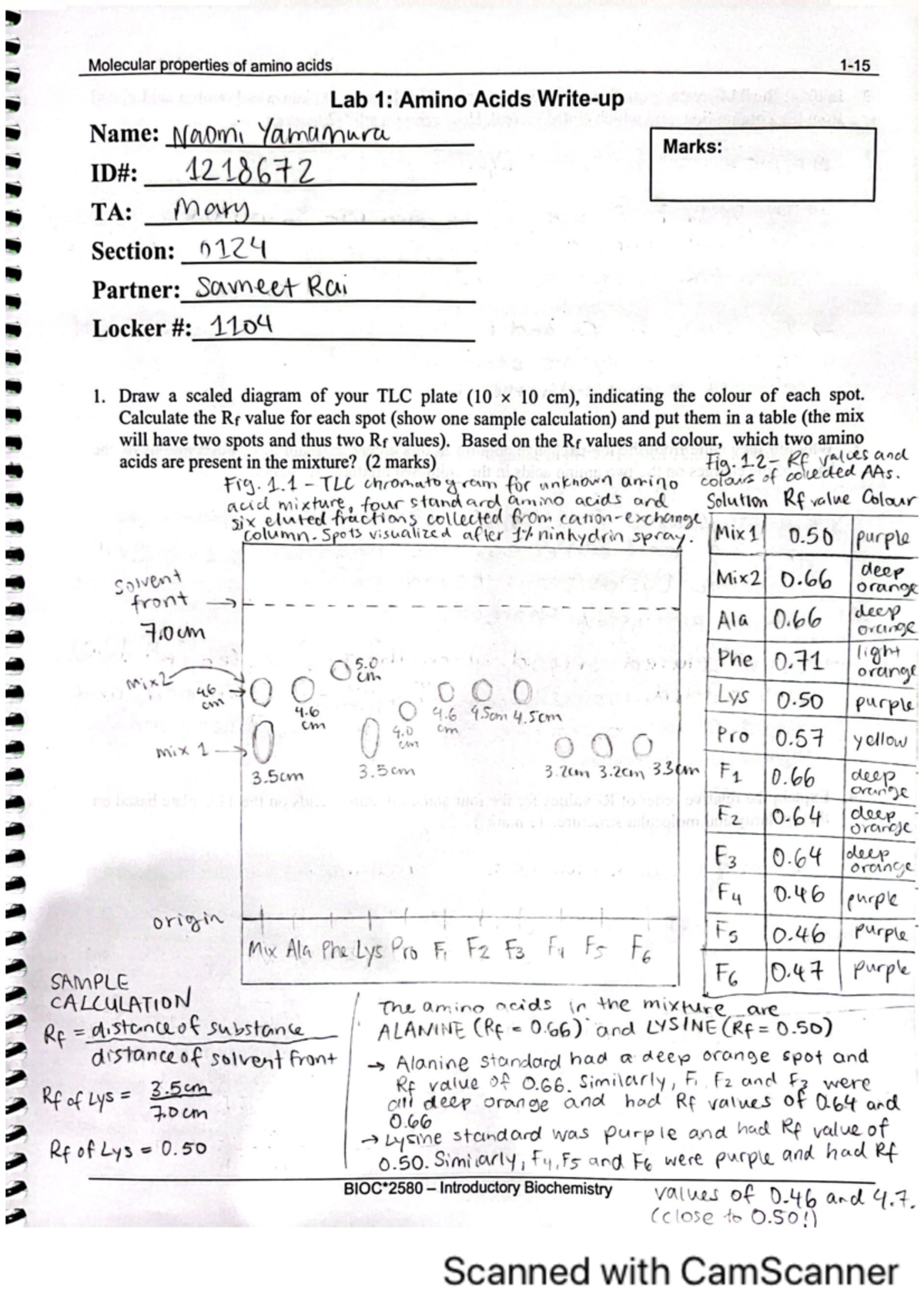 Biochem Lab 1 Report: Experimental Findings and Analysis - Studocu