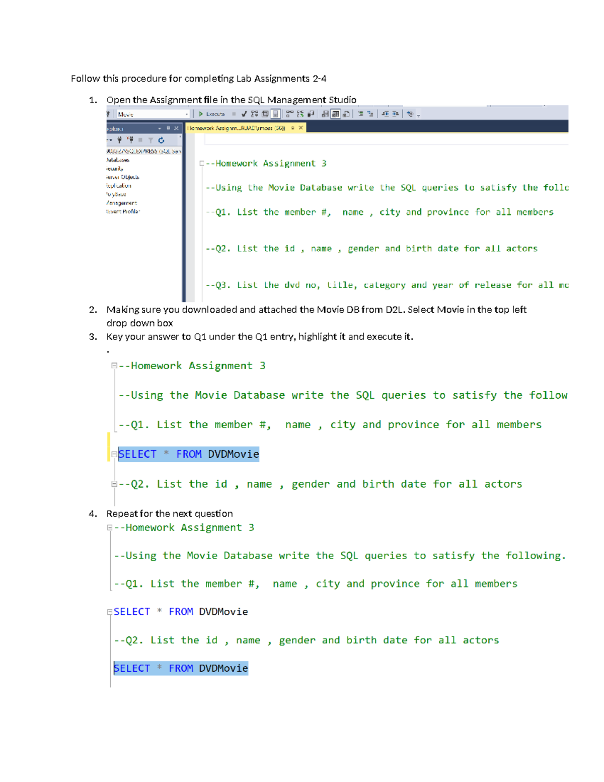 SQL Lab Sample Format - For the nothing tour and nothing more ...