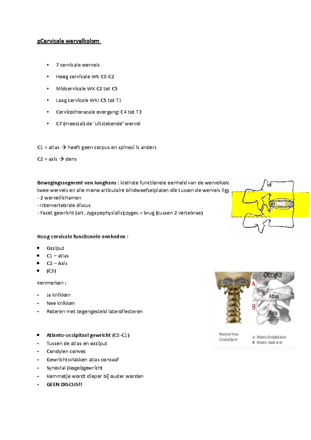 Onderwijs Model Occipital Bot Met Menselijk Cervicale Wervelkolom Botatlas En Pvc Materiaal As 1236470593