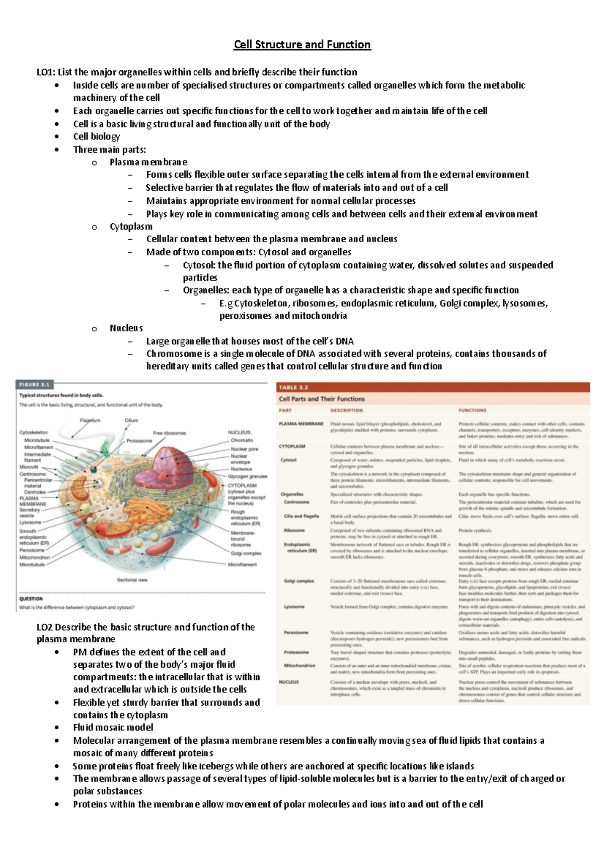 Biology 101: Cell Structure, Function, and Protein Synthesis Guide ...