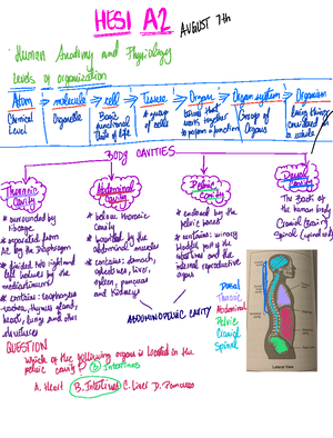 Histology Student Review: Chapter 5 - Human Tissue Types and Functions ...