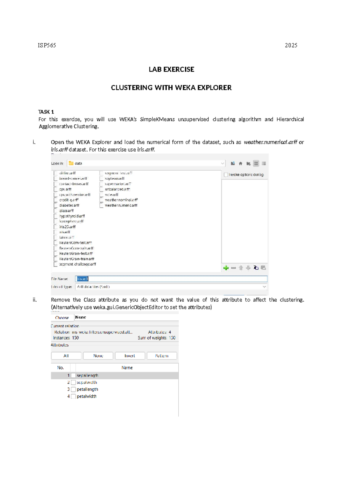 ISP565 2025 Lab Exercise: Clustering with WEKA Explorer - Document Preview