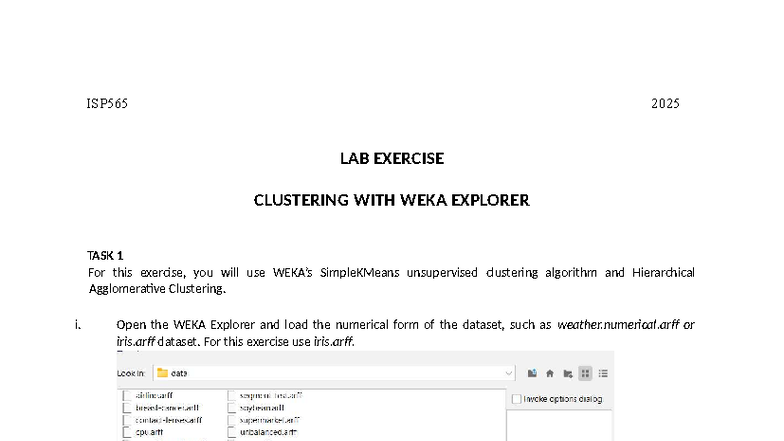 ISP565 2025 Lab Exercise: Clustering with WEKA Explorer - Studocu