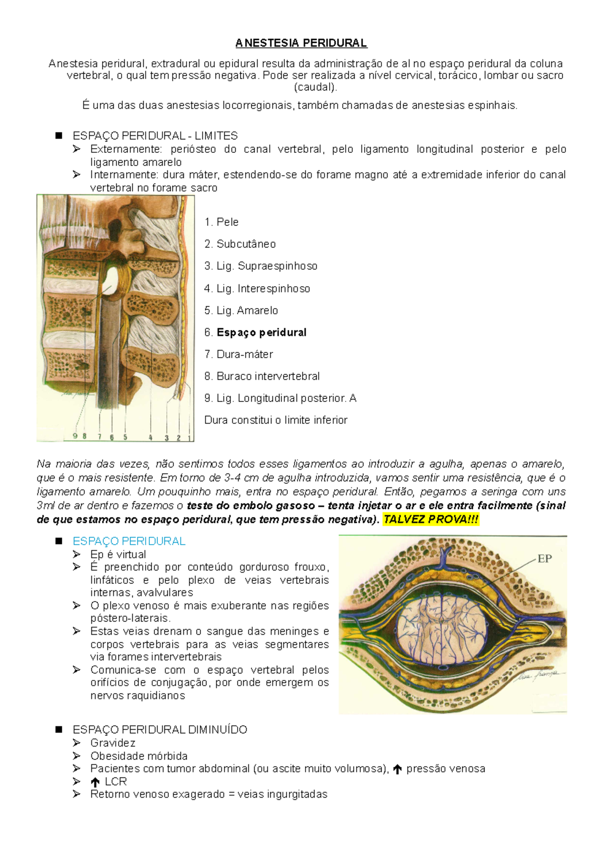 Aula 13 - Anestesia Peridural: Técnicas, Indicações e Complicações ...