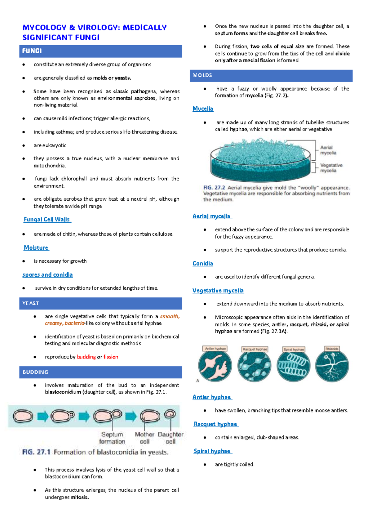 MYCOLOGY VIROLOGY: MEDICALLY SIGNIFICANT FUNGI PRELIMINARY NOTES - Studocu