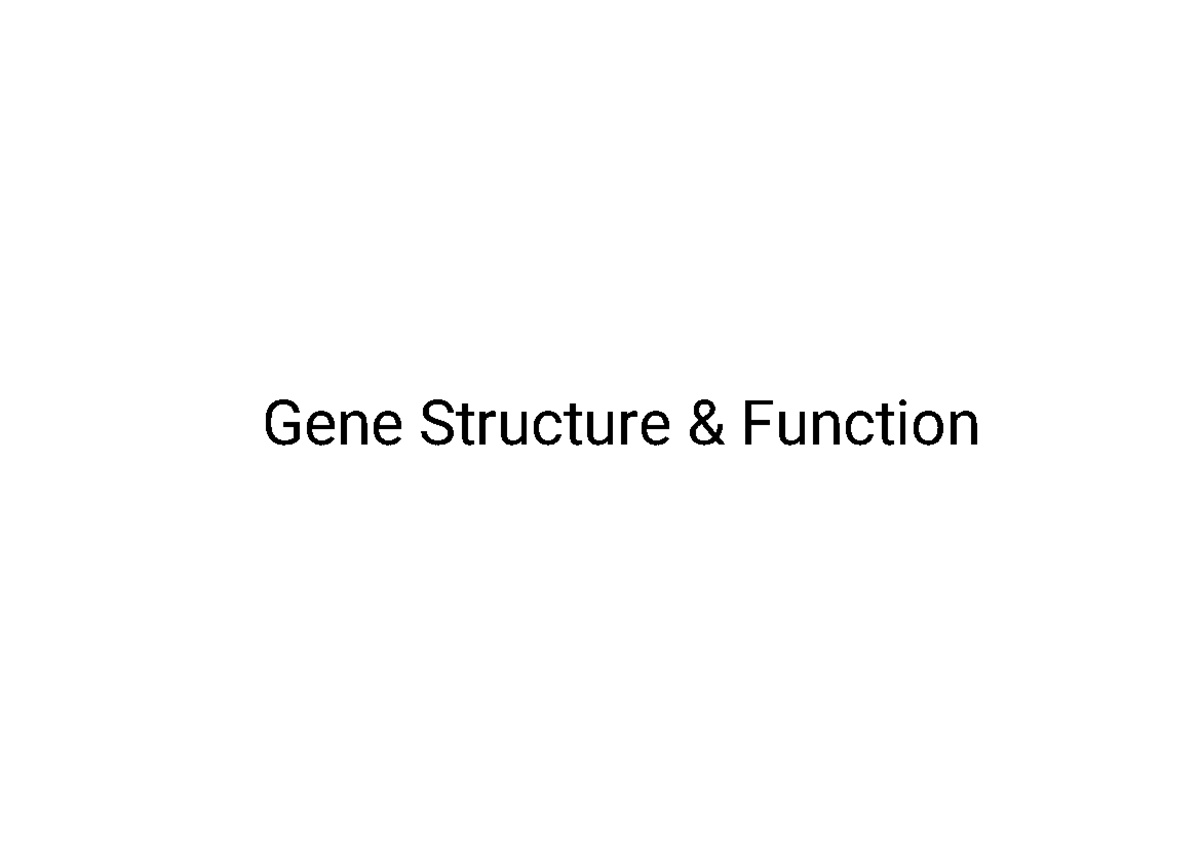 BIO 102 - Gene Structure and Function Overview - Studocu