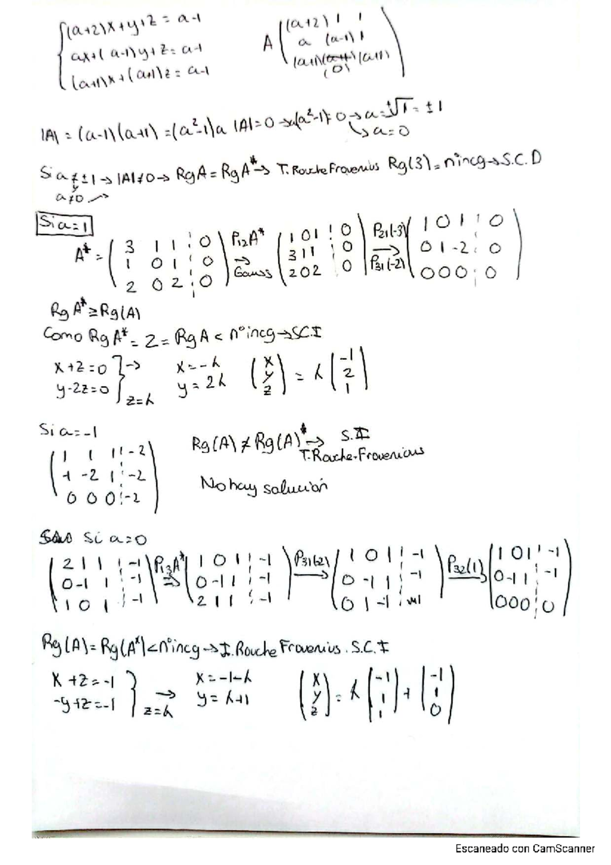 Rouche-Frobenius Theorem Notes (MATH 311) - Studocu