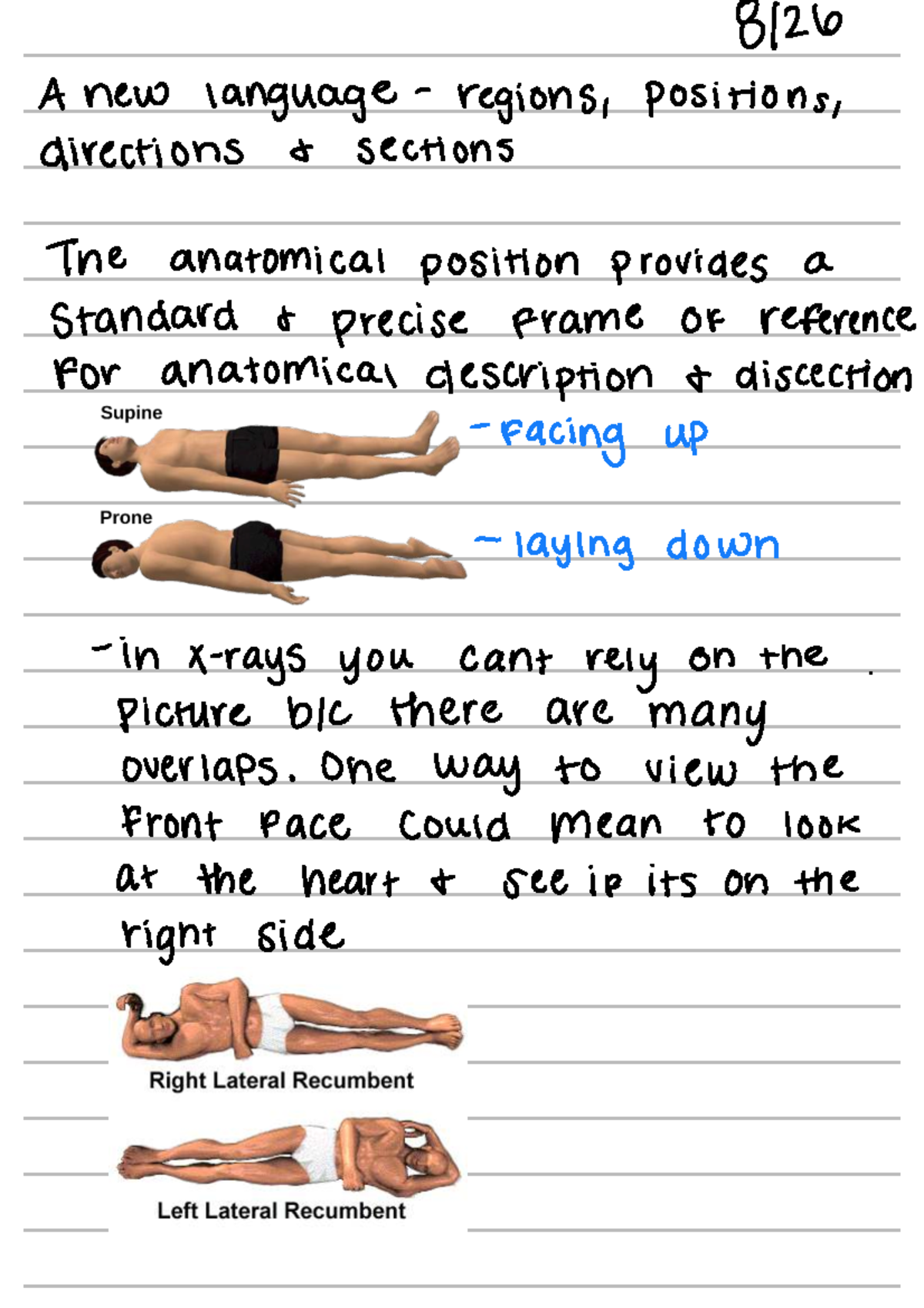 Lateral View Anatomical Position