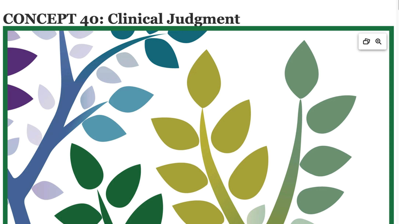 Clinical Judgment in Nursing: Understanding Complex Decision-Making ...