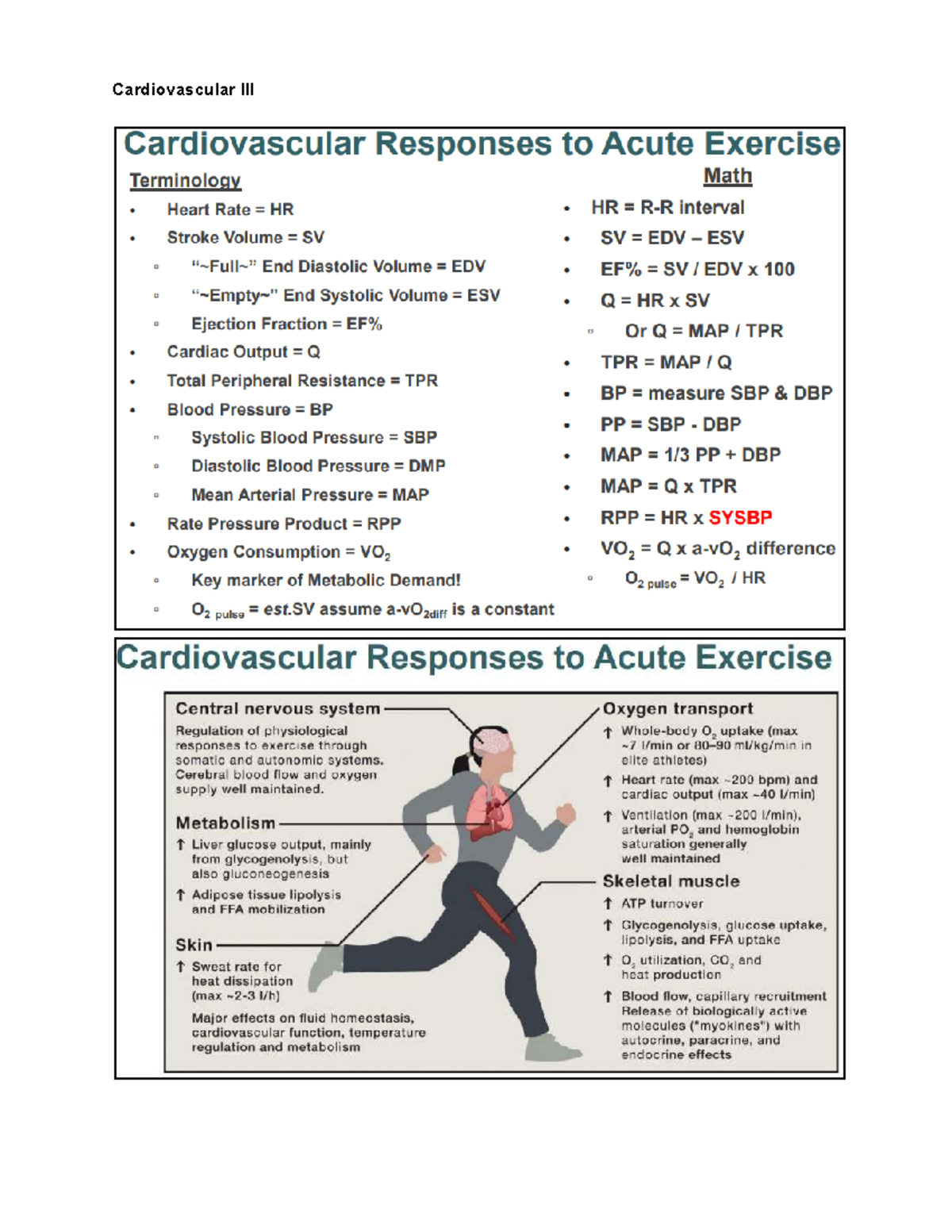 KIN 103 Final Exam: Cardiovascular Responses to Exercise - Studocu