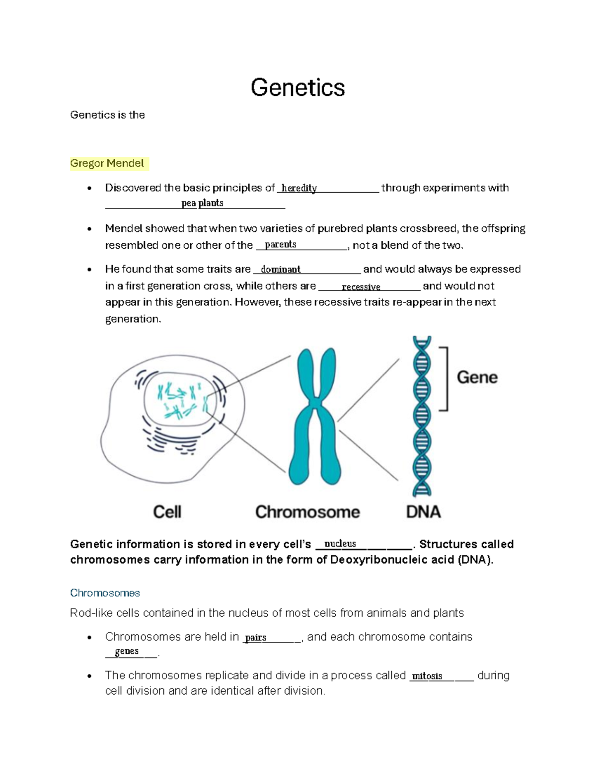 Genetics Lecture Notes: Key Concepts and Inheritance - Studocu