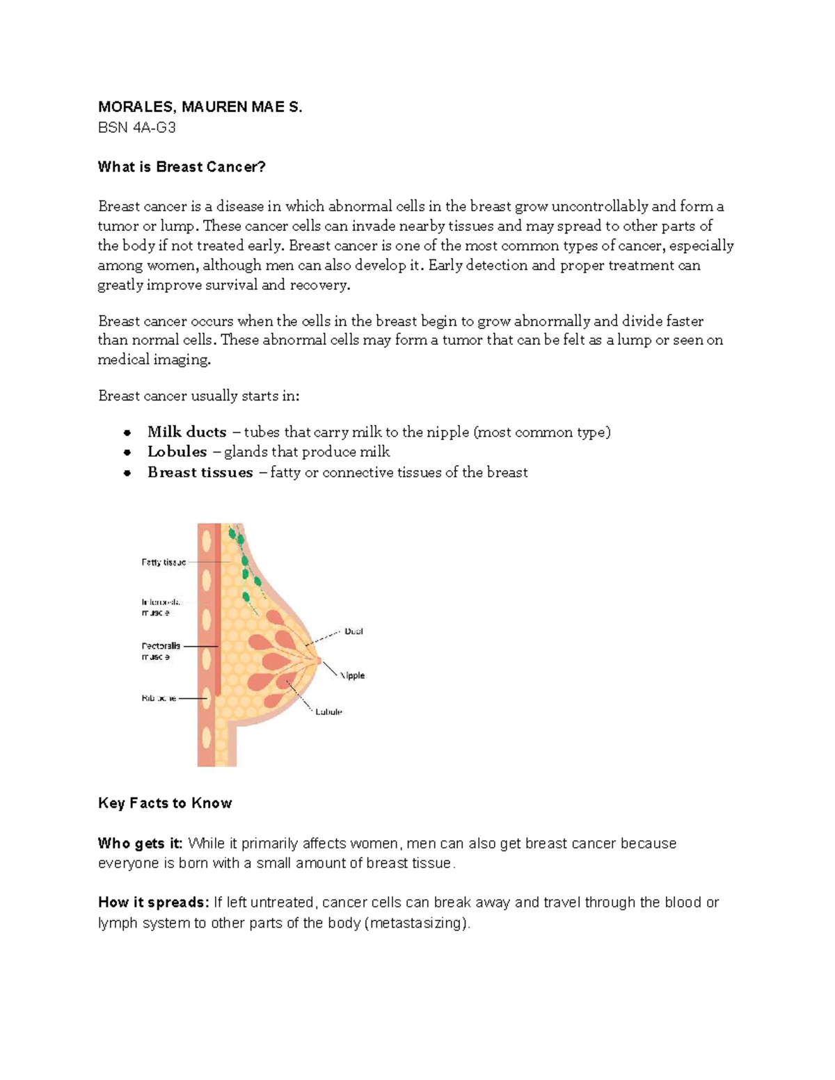 Breast Cancer Overview and Key Facts (ACE-OR) - Studocu