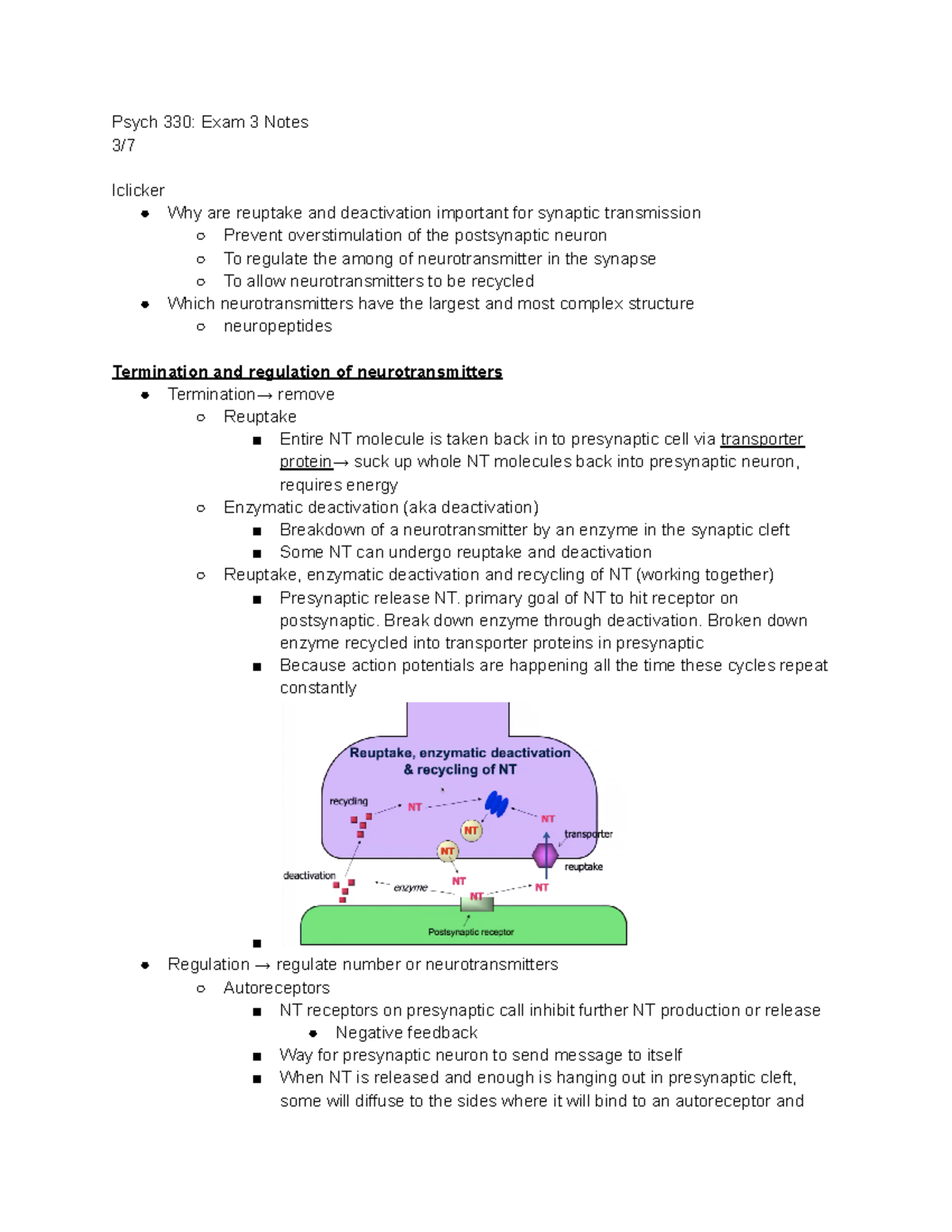Psych 330: Comprehensive Notes for Exam 3 on Neurotransmission - Studocu