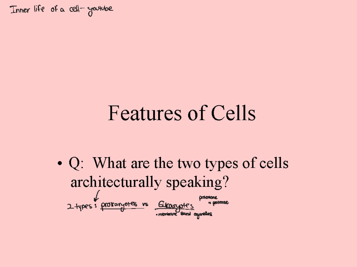 Cell Biology Lecture Notes: Inner Life of a Cell - Studocu