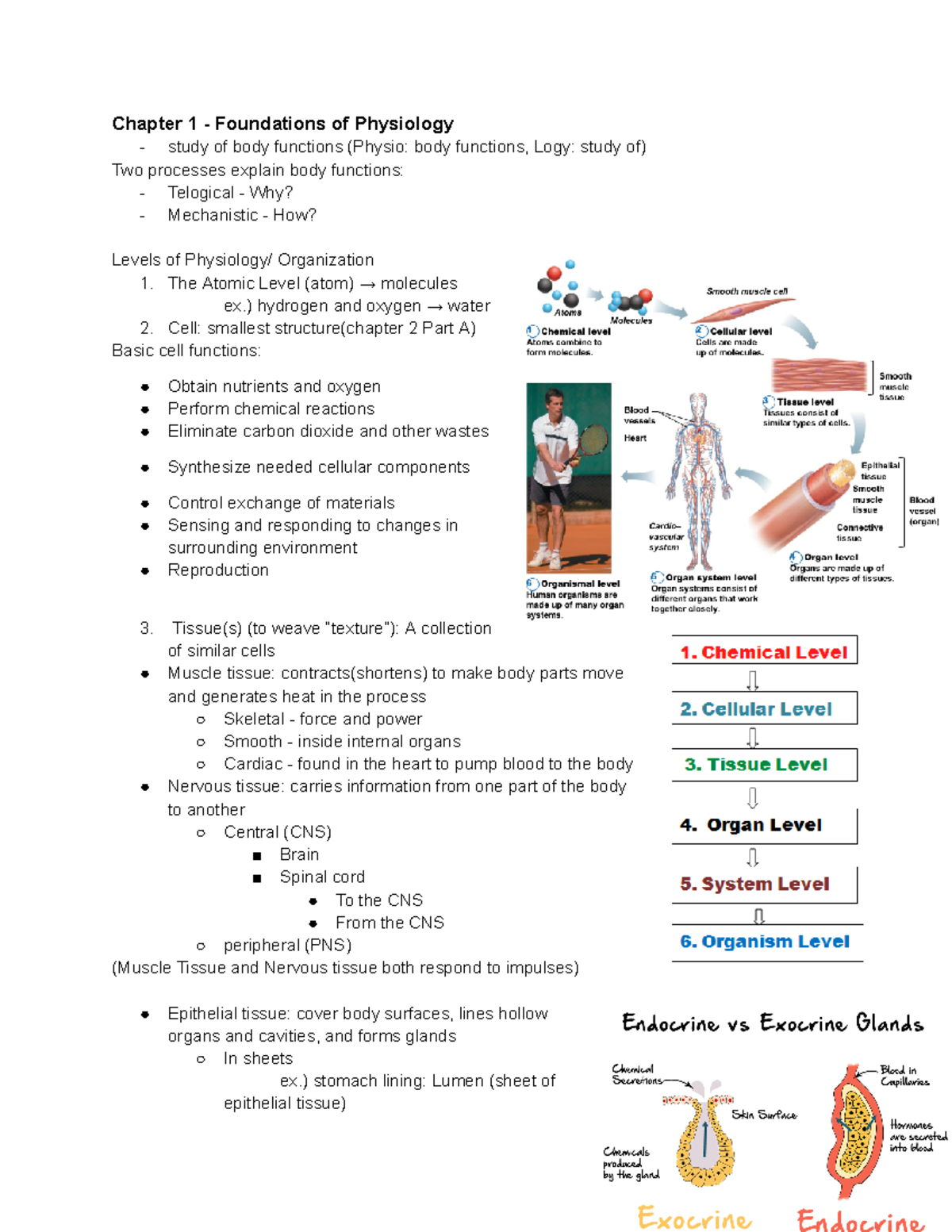 Chapter 1 & 2 Notes on Physiology Foundations - BIN 101 - Studocu