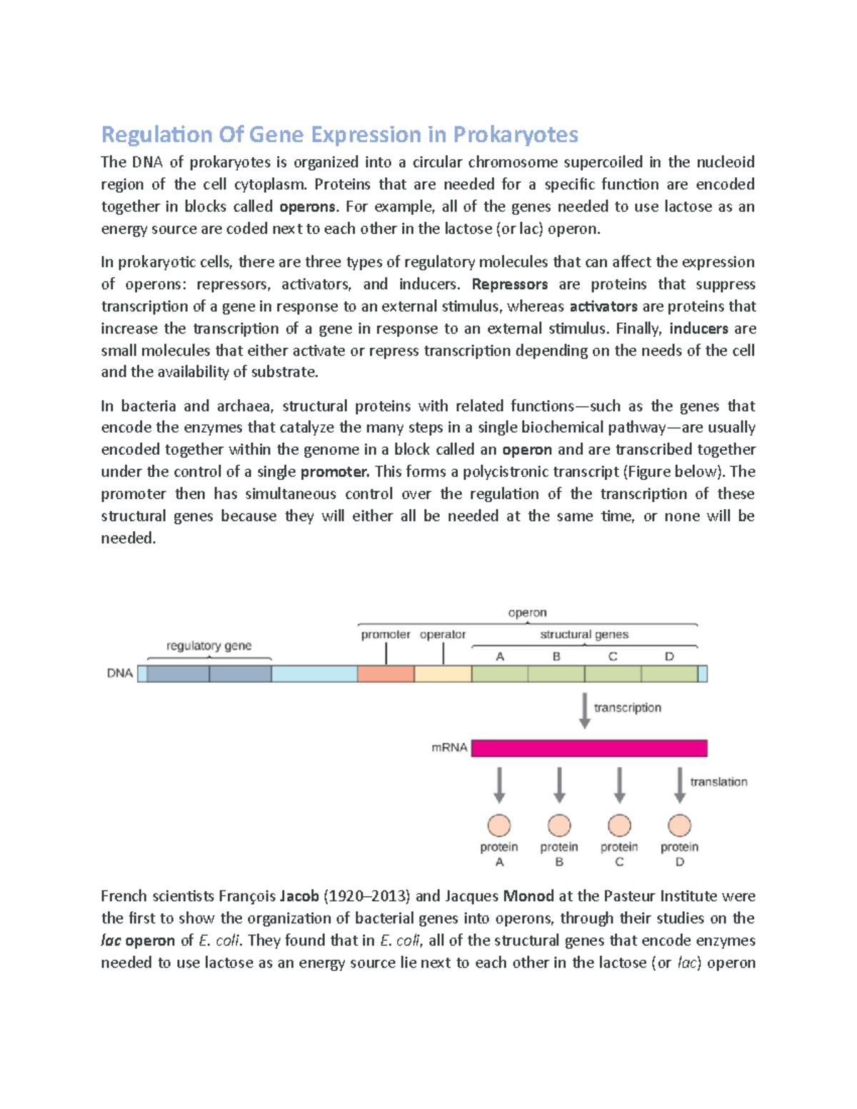 Regulation of Gene Expression in Prokaryotes: Operons and Control ...