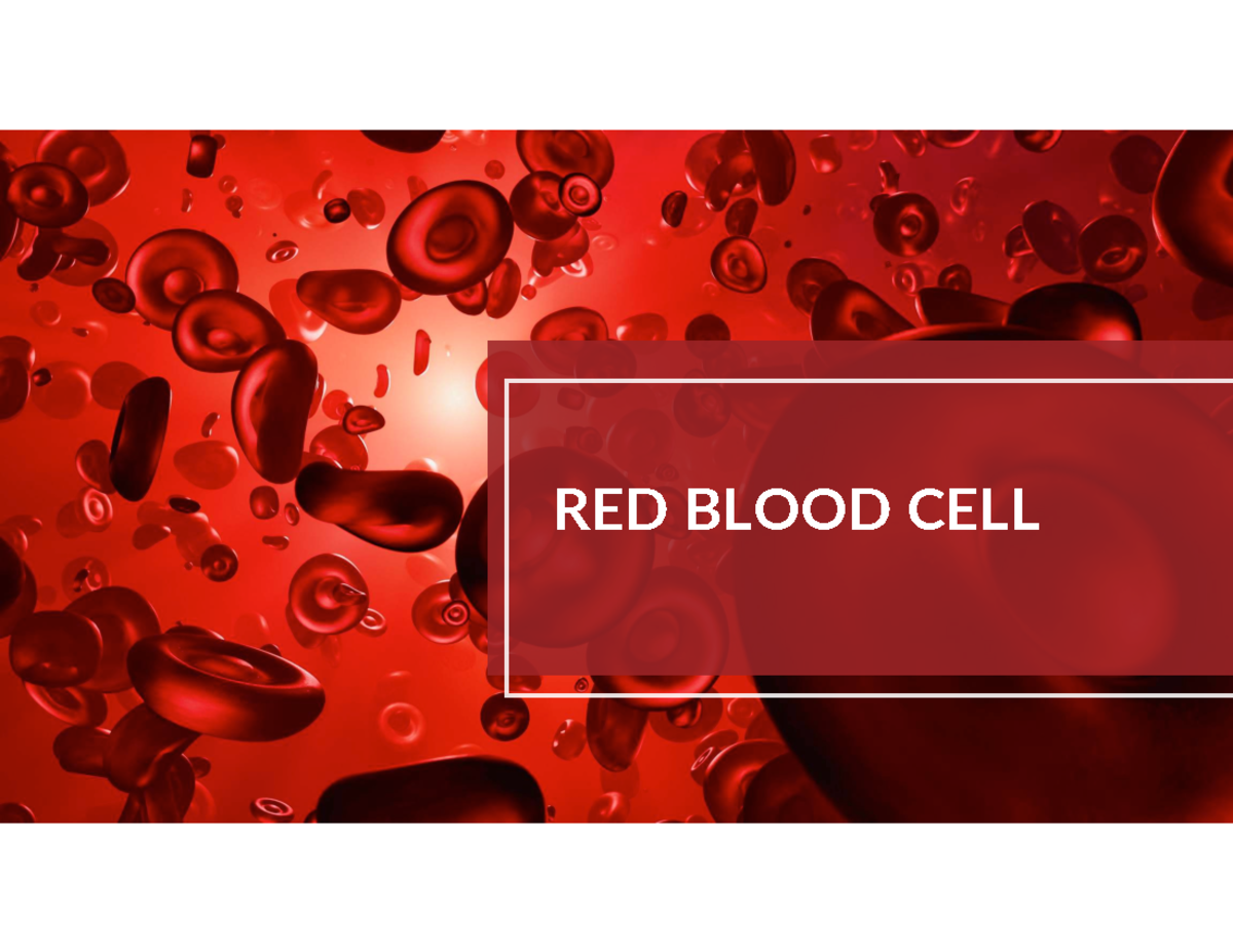RBC Morphology and Indices: Variations in Size, Color, and Shape - Studocu