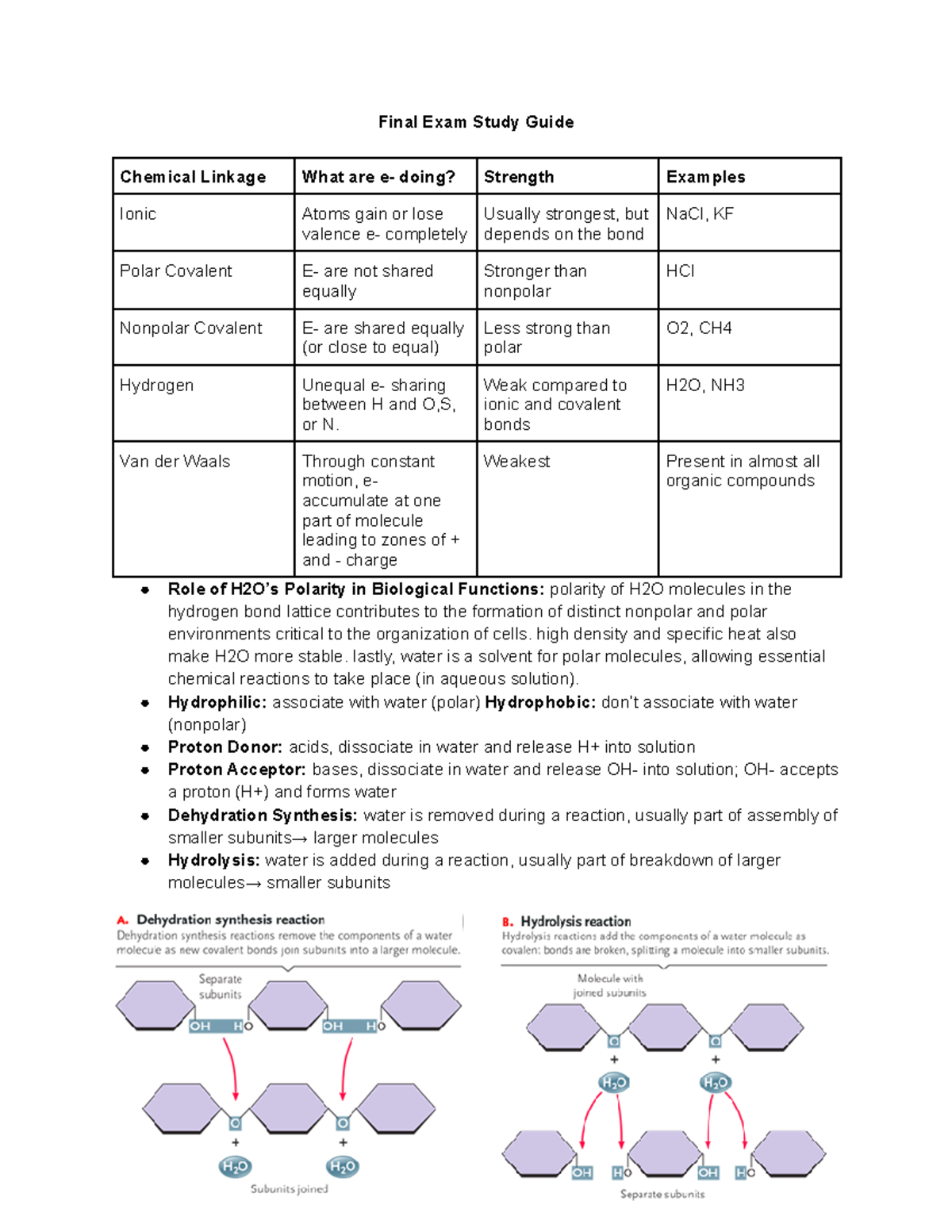 Biology 1107 Final Exam Comprehensive Study Guide - Studocu