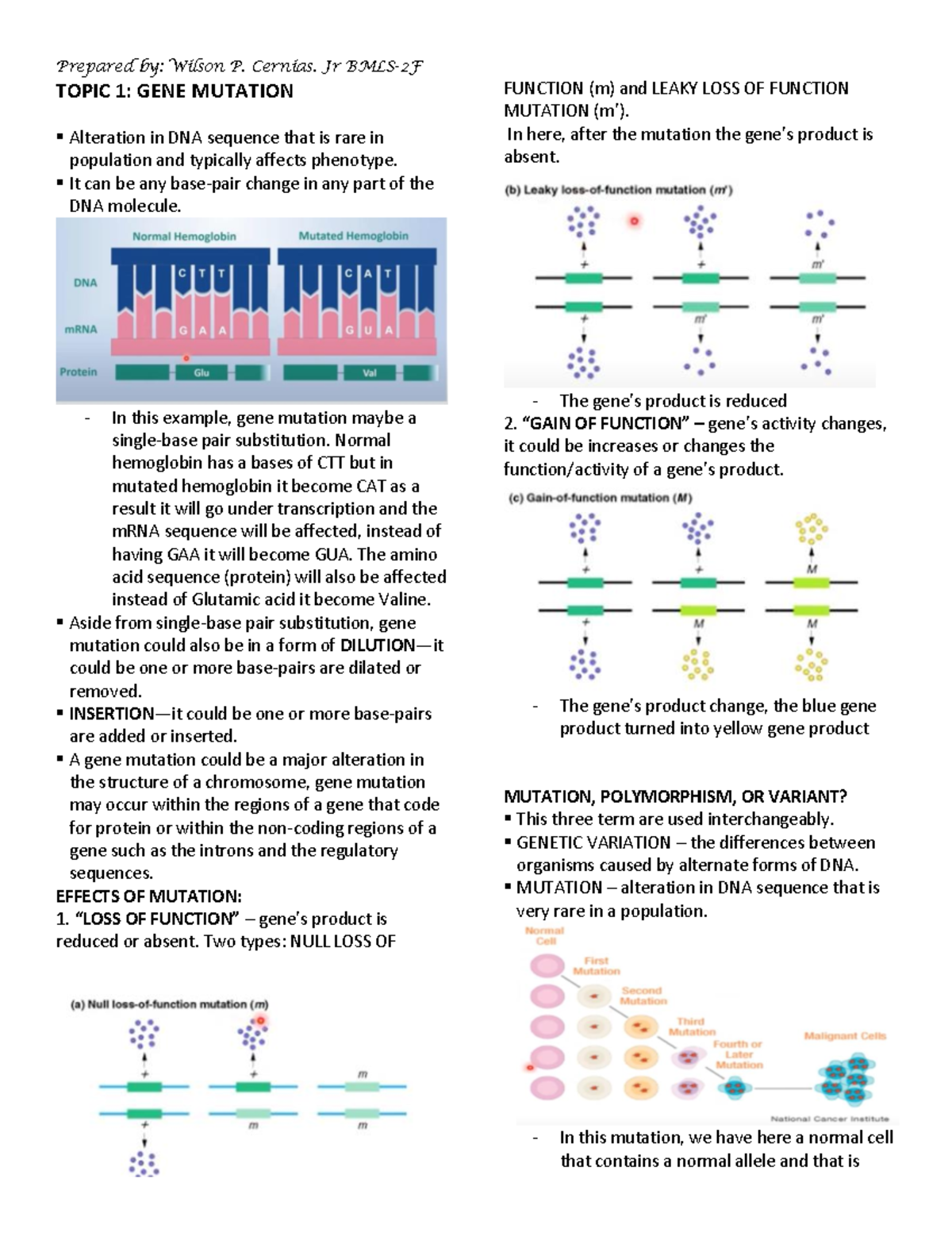 GENE Mutation Lecture Notes - TOPIC 1: GENE MUTATION Alteration in DNA ...