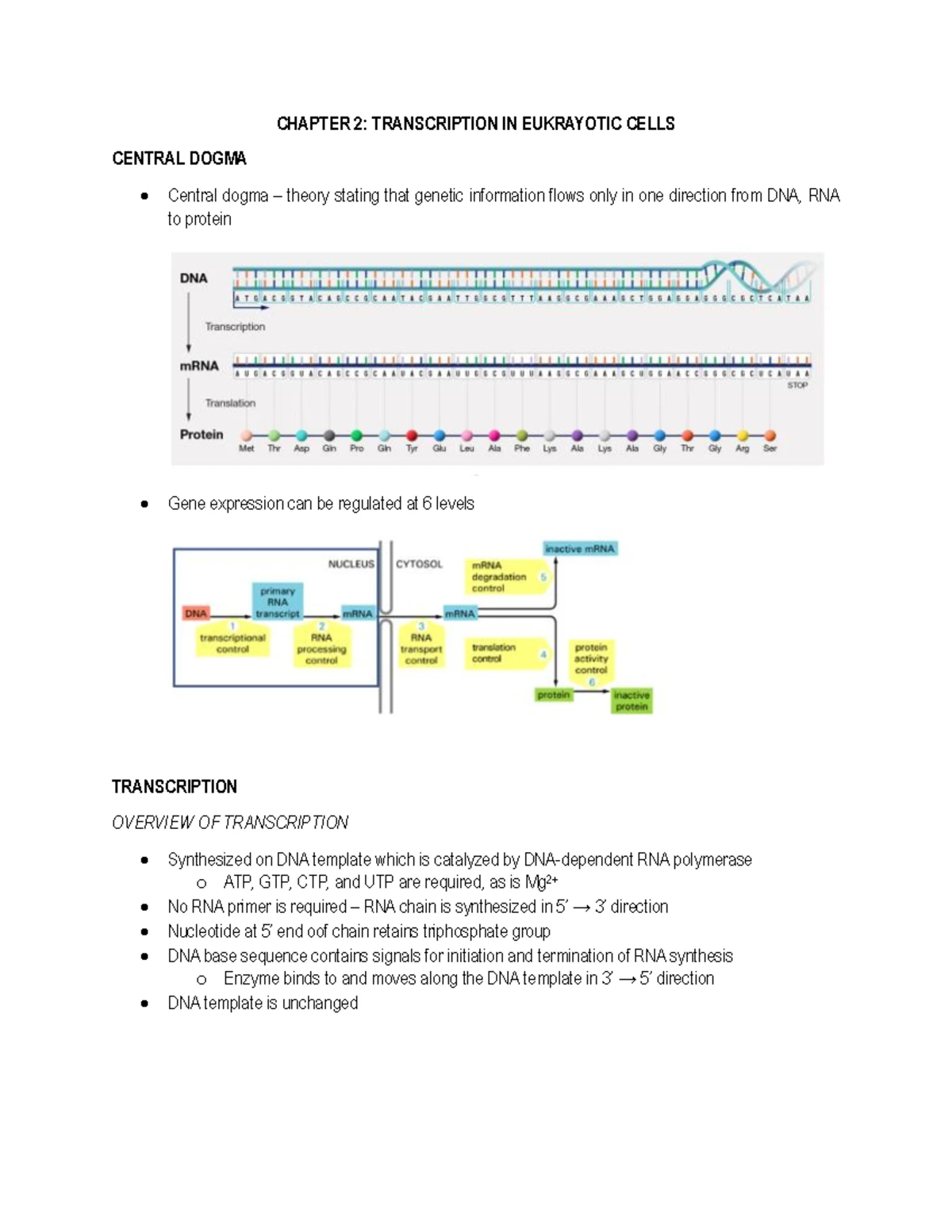 BCHS 316 Enzymology Study Guide: Key Concepts and Kinetics - Studocu