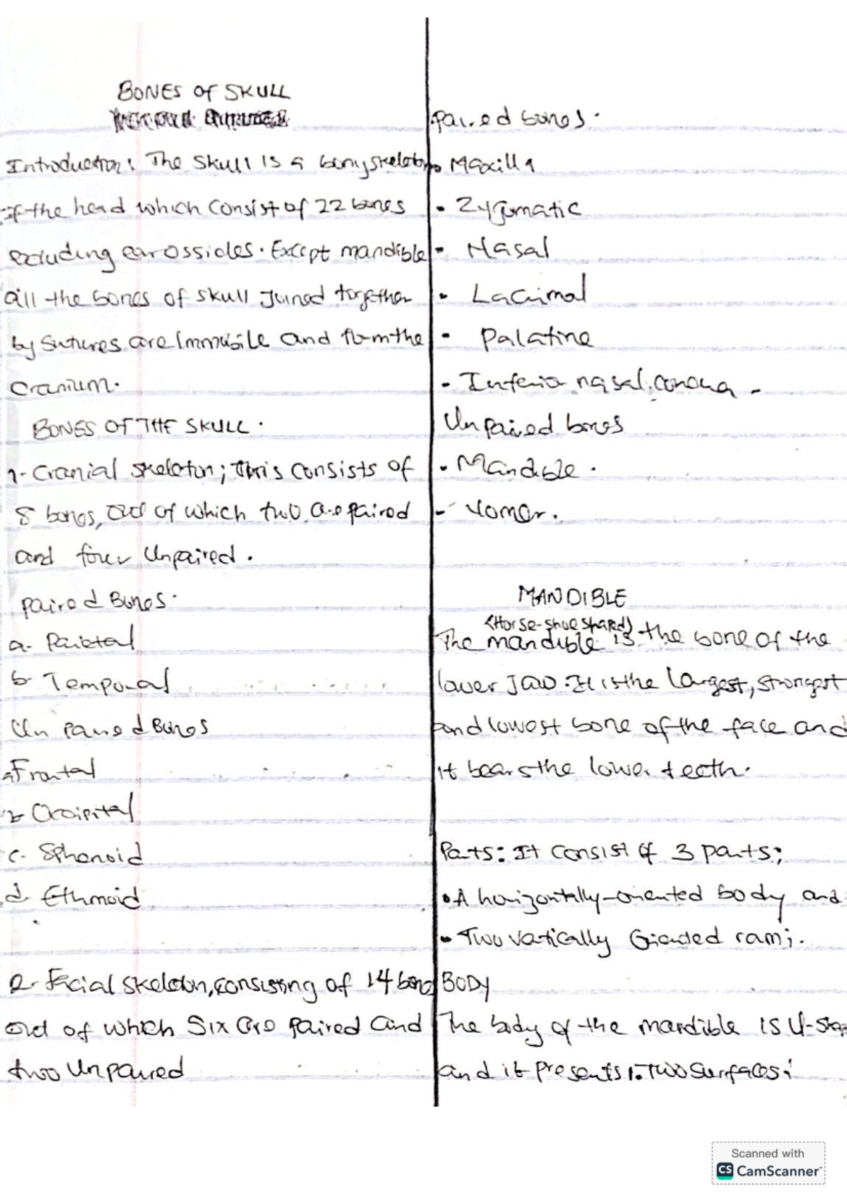 Anatomy of the Skull: Detailed Notes for ANAT 101 Final Exam - Studocu