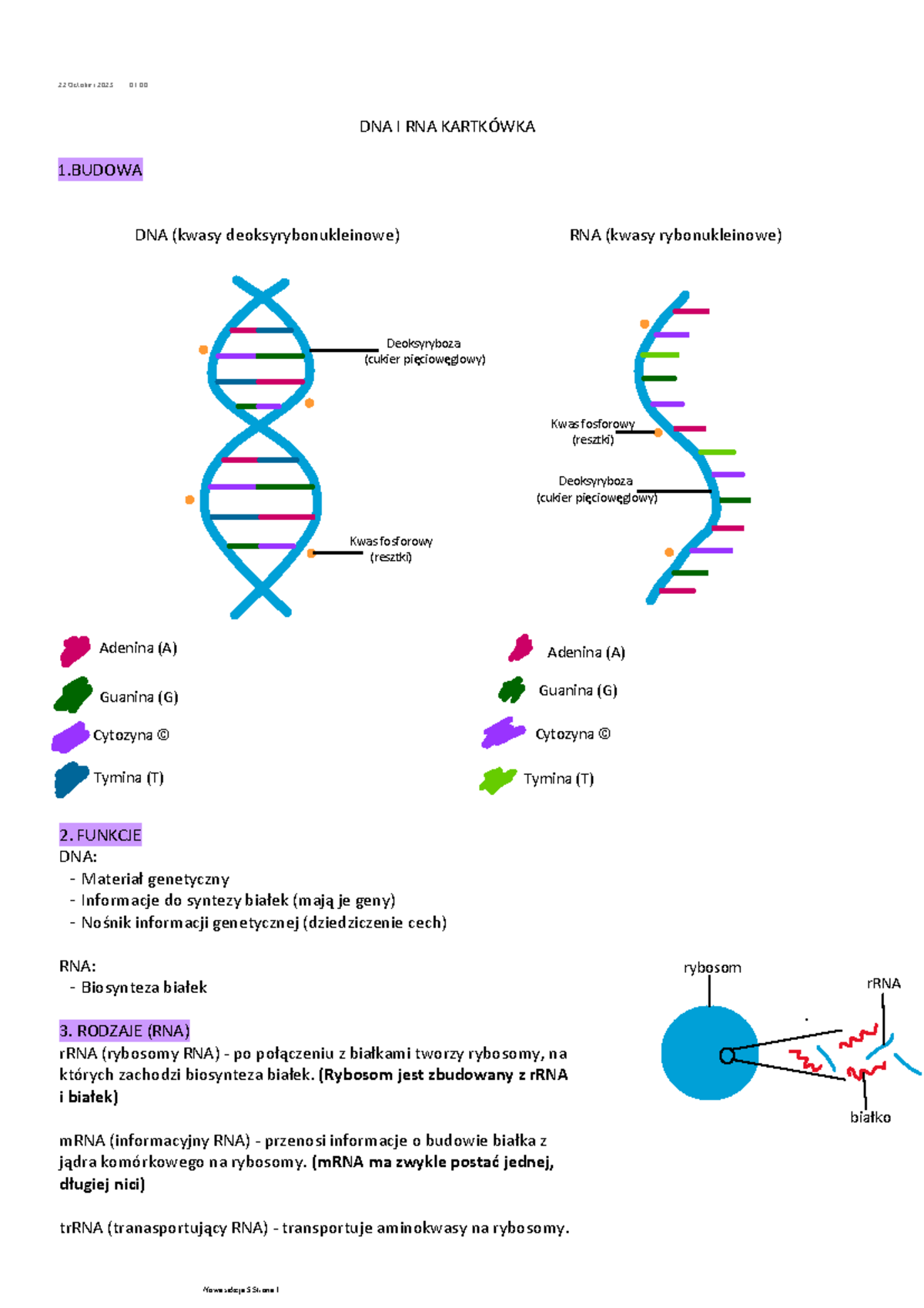 Kartkówka Dna I Rna Klasa 8 www.studocu.com