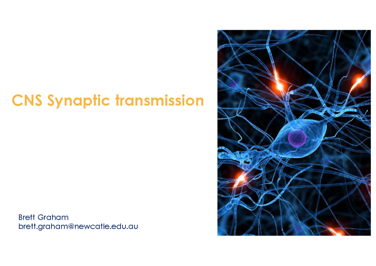 CNS Synaptic Transmission: Mechanisms and Neurotransmitters - Studocu