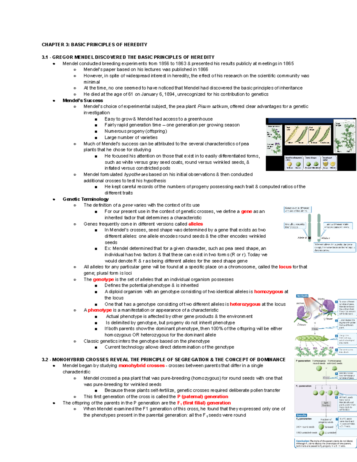 PCB 3063 Chapter 3: Principles of Heredity and Mendelian Genetics - Studocu
