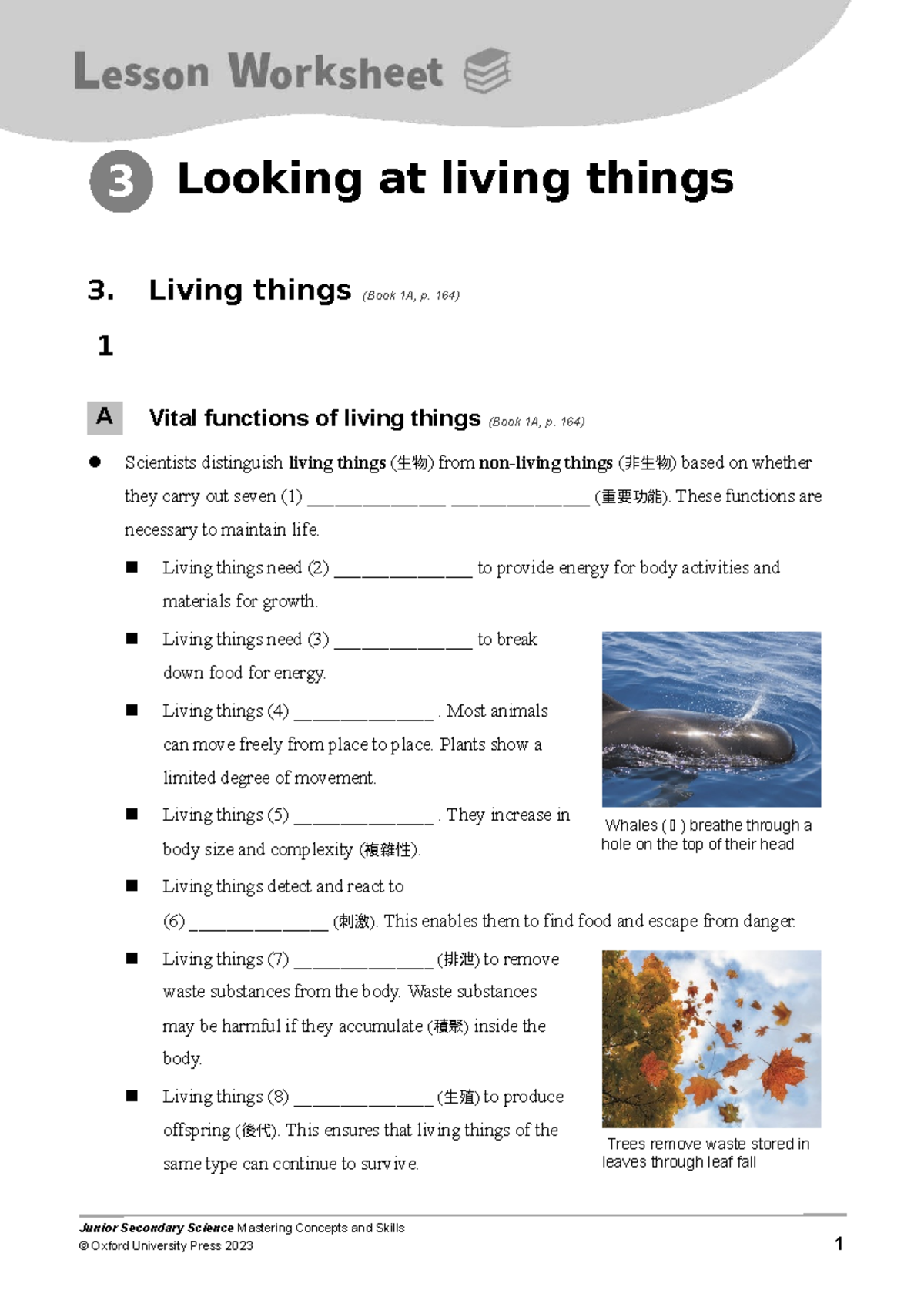 Jsci lssws 03 e - Worksheet on Vital Functions of Living Things - Document Preview