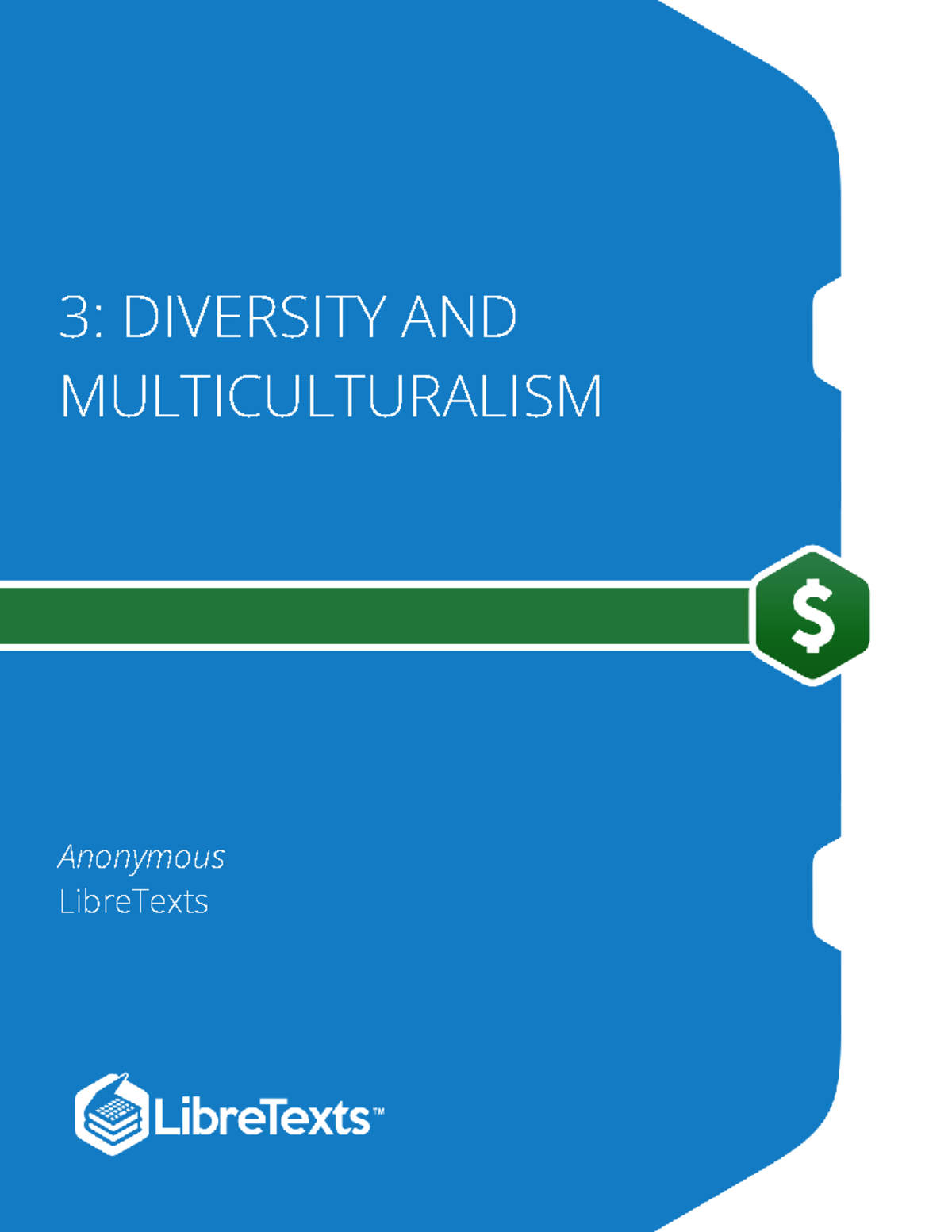 3: Chapter 3 - Diversity and Multiculturalism Overview - Studocu