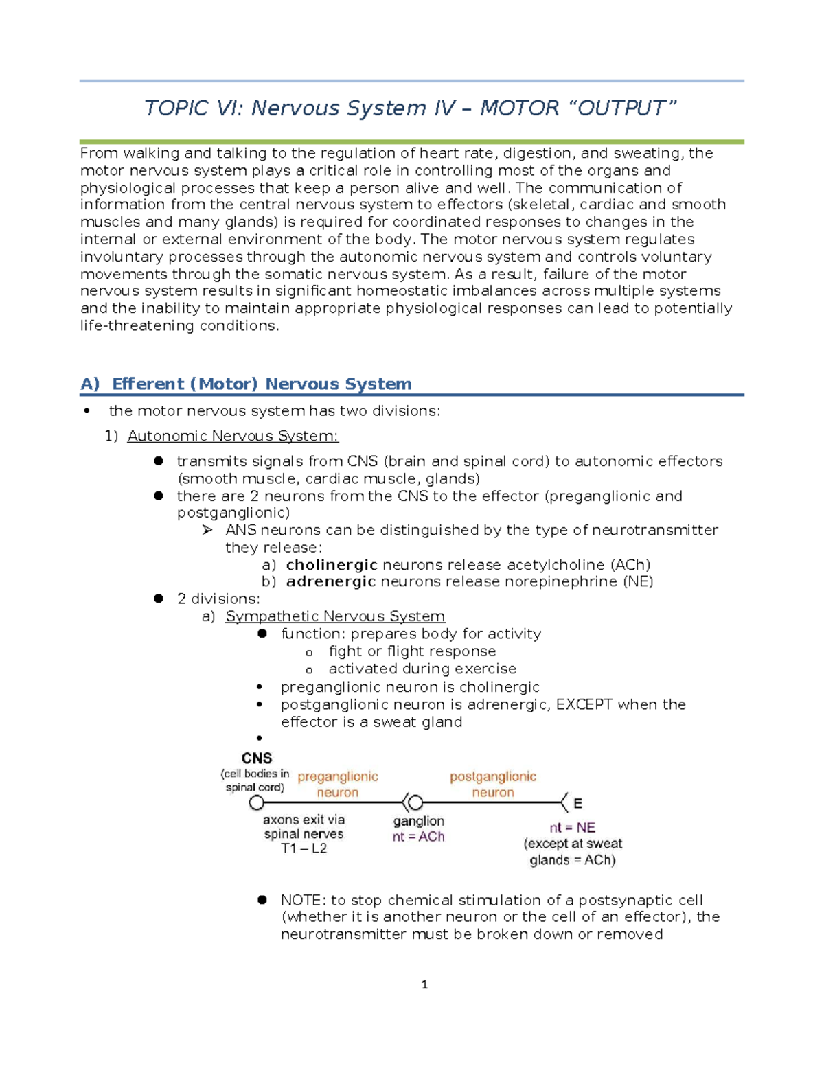 6 - Topic VI: Nervous System IV - Motor Control and Functions - Studocu